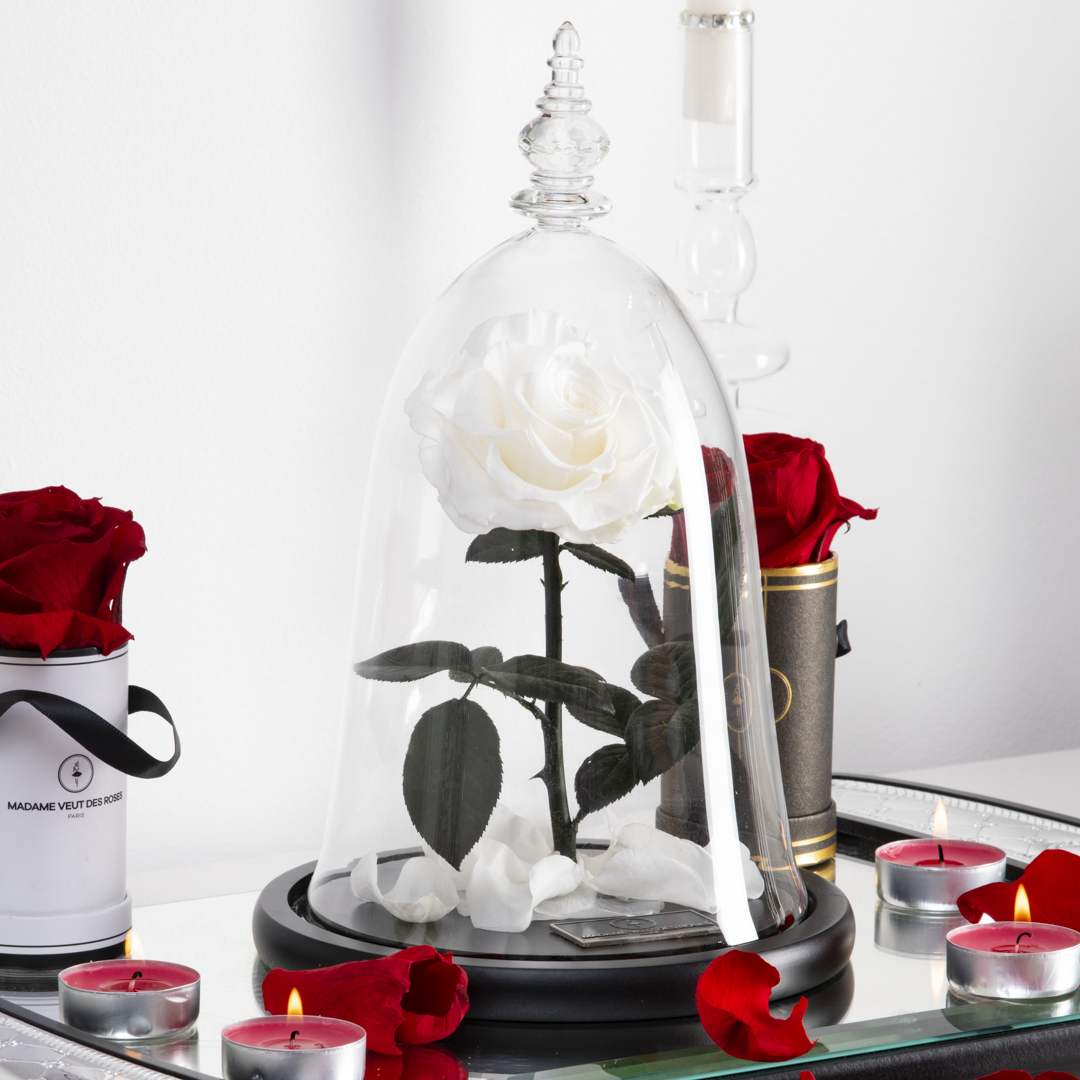 5 bonnes raisons d’offrir des roses éternelles sous-cloche pour Noël