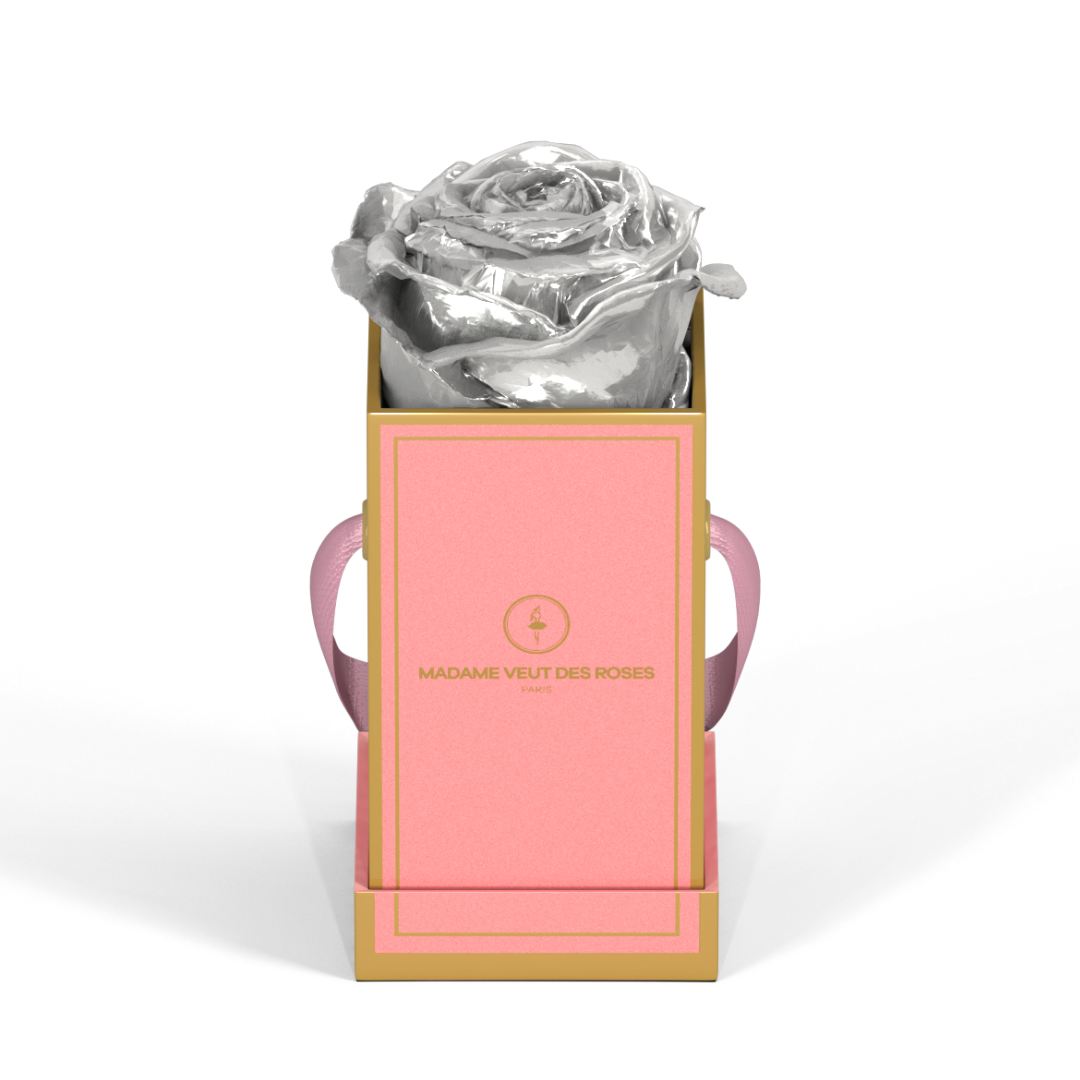 La fleur éternelle argentée, une fleur éternelle pleine de charme...