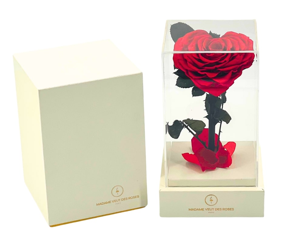 Rose éternelle sous cloche carrée 22cm - L'Amoureuse