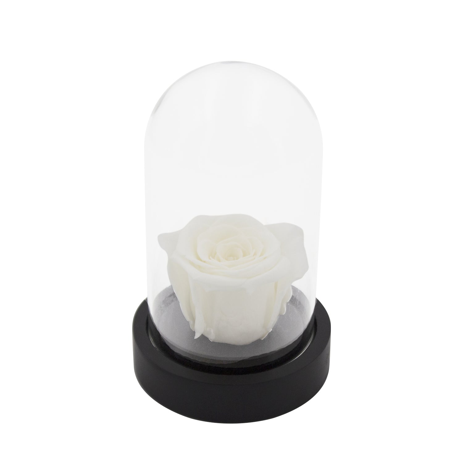 Rose éternelle sous cloche - Madame Veut Des Roses
