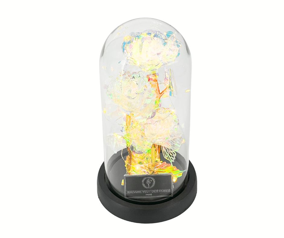 Rose sous cloche 22cm- 3 Galaxy lumières led