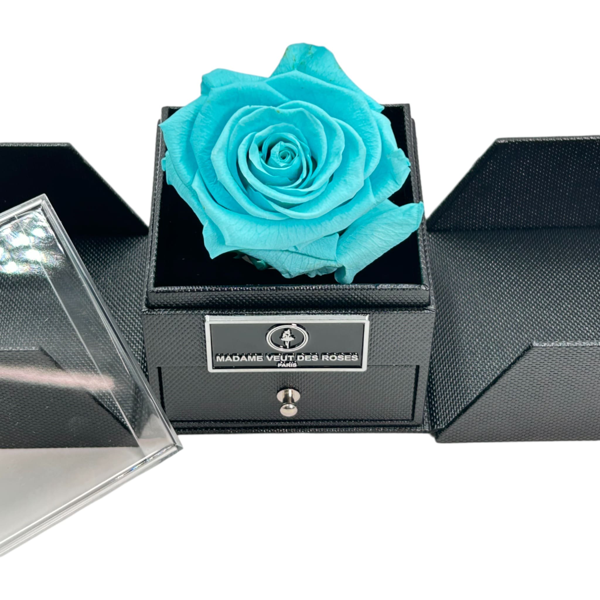 rose éternelle