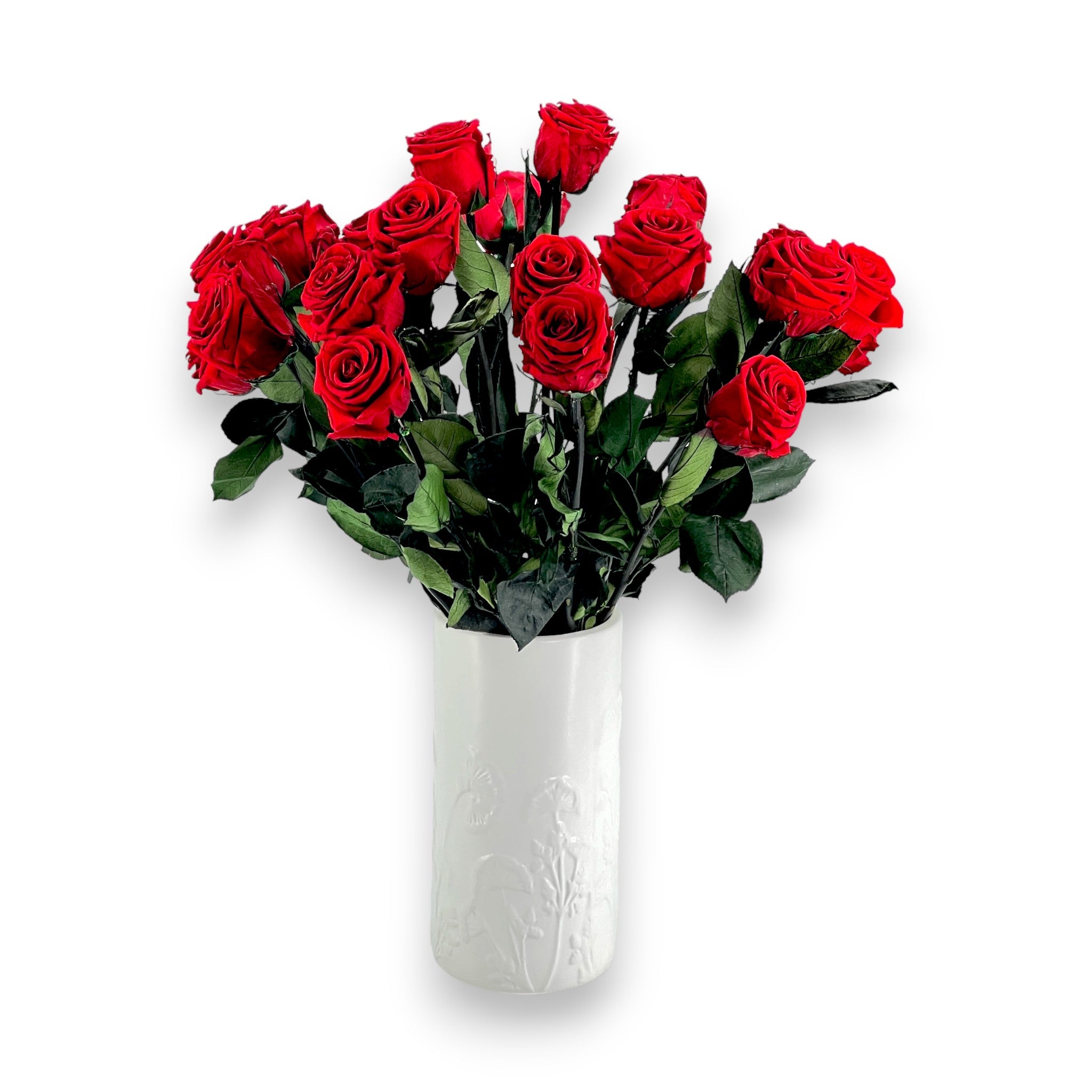 roses éternelles