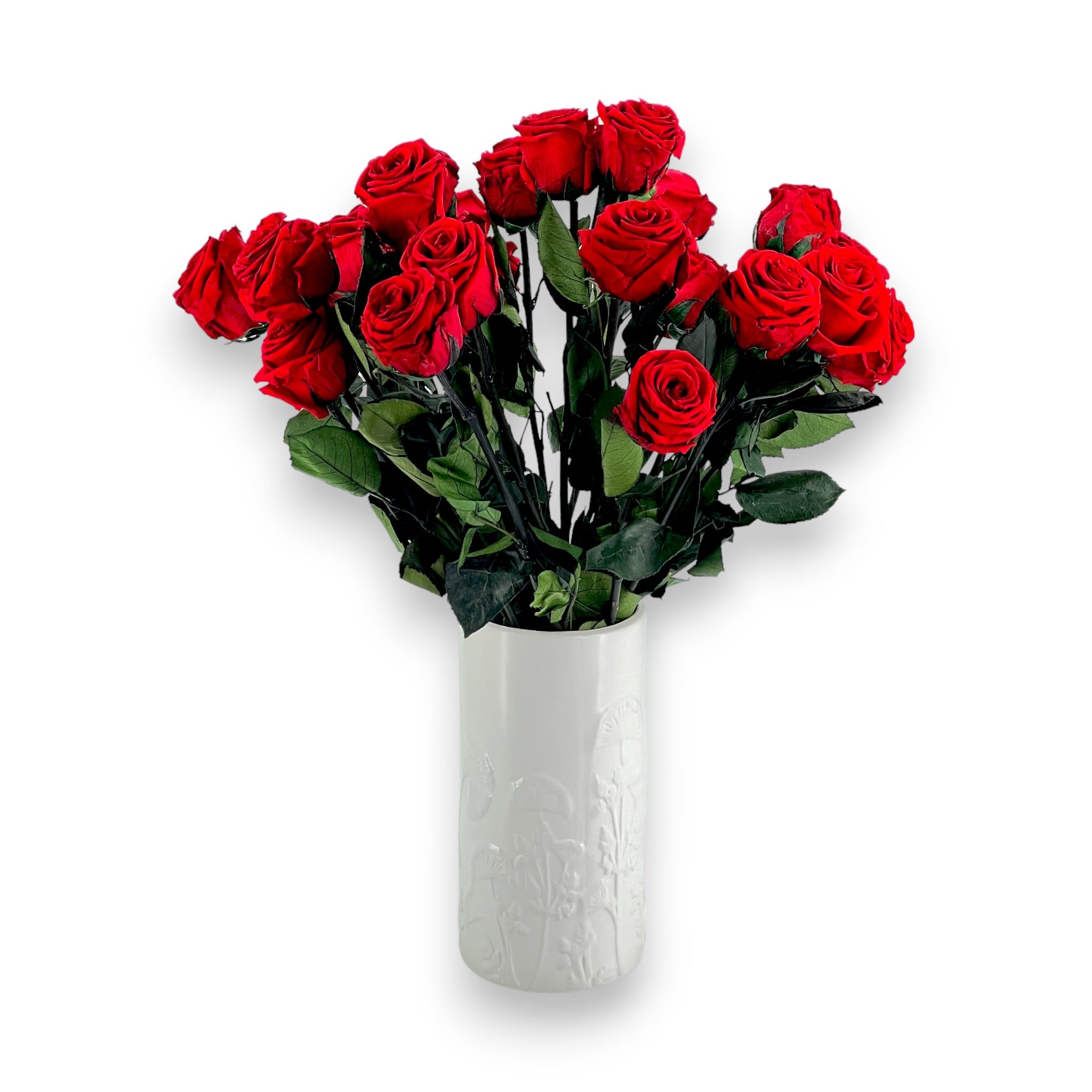 roses éternelles