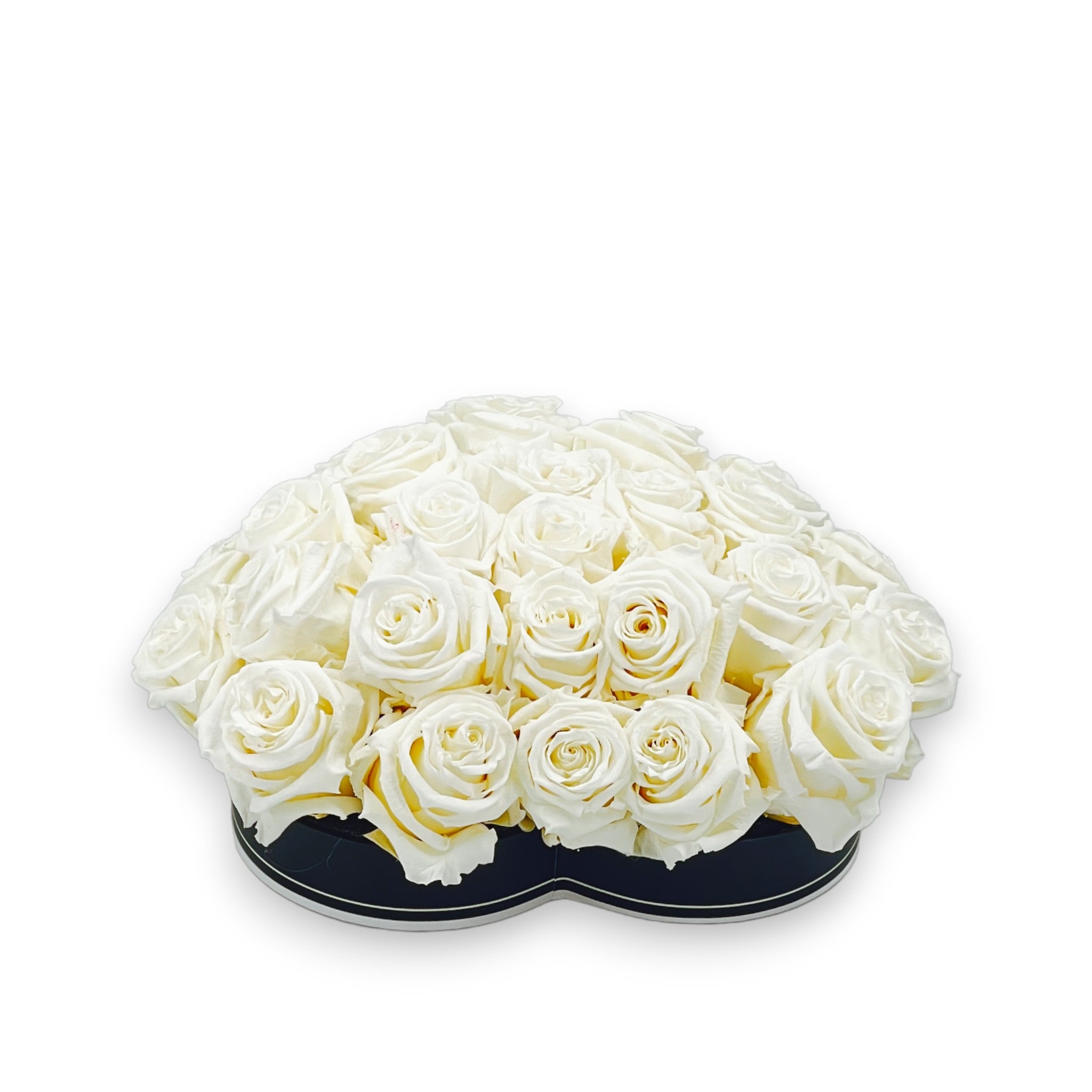 roses éternelles