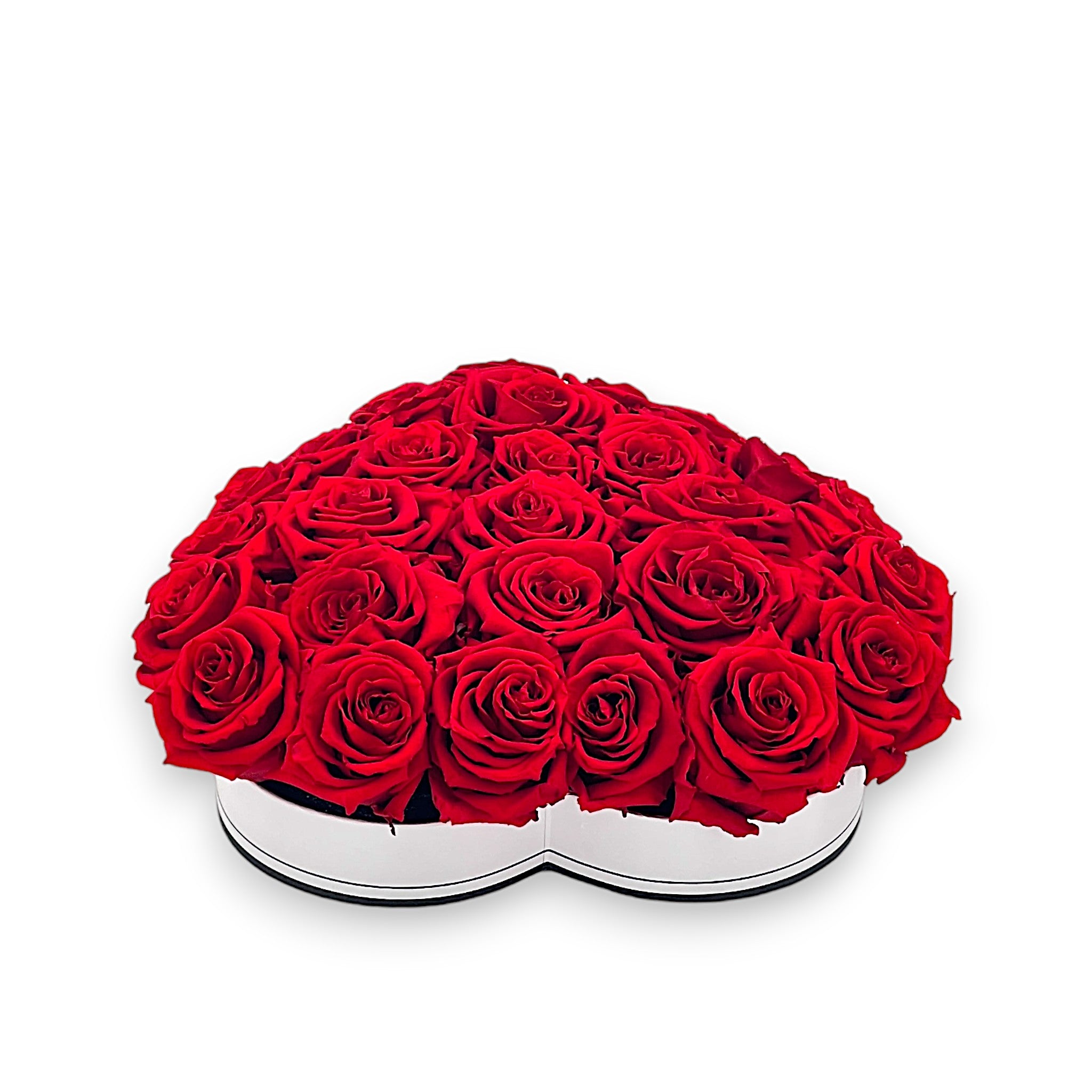 roses éternelles
