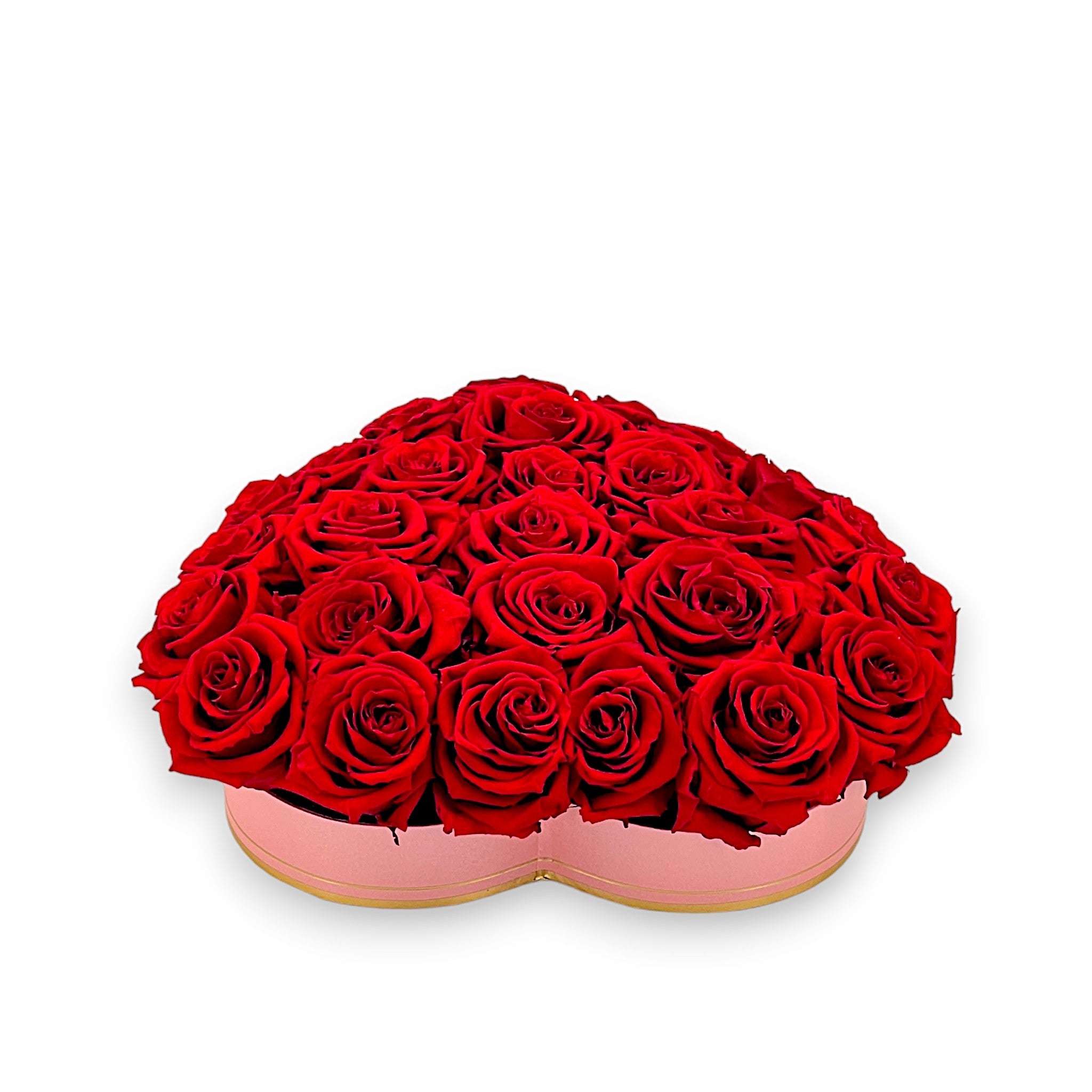roses éternelles