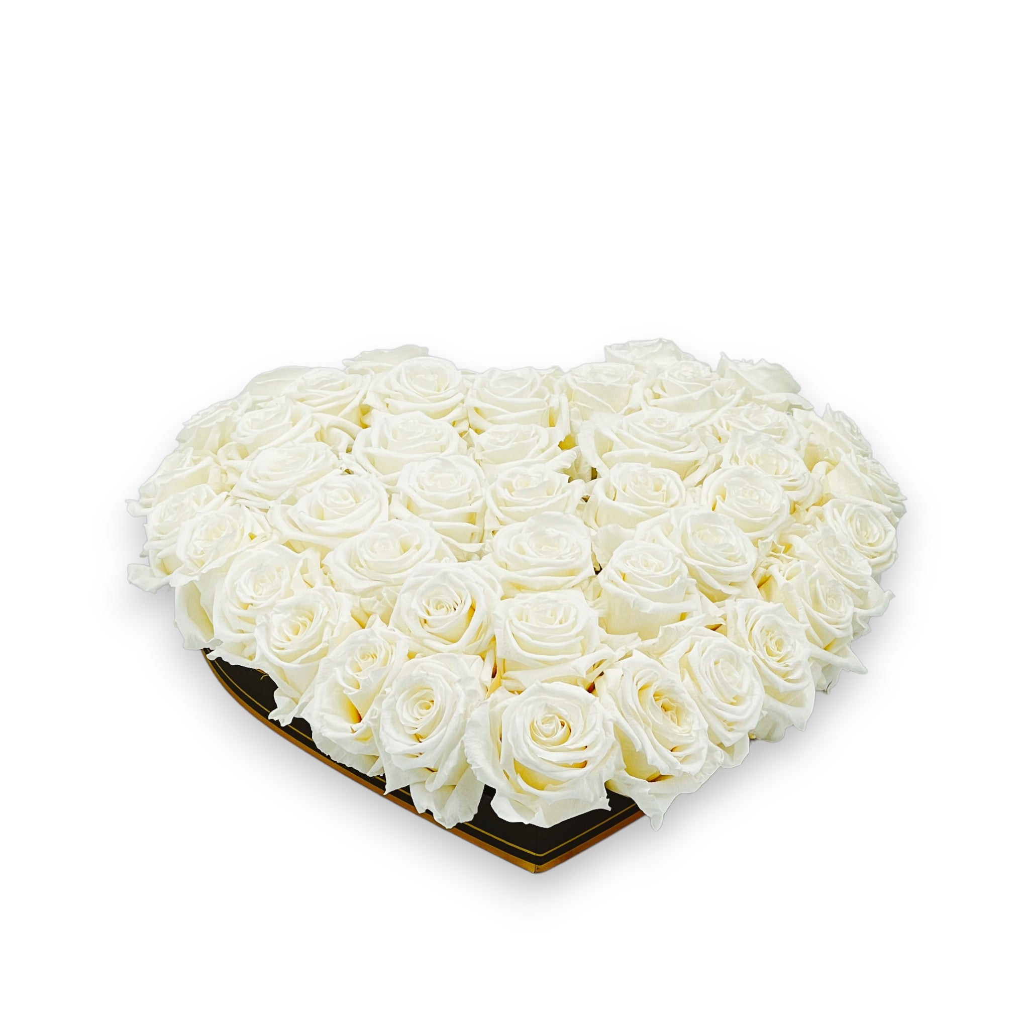 roses éternelles