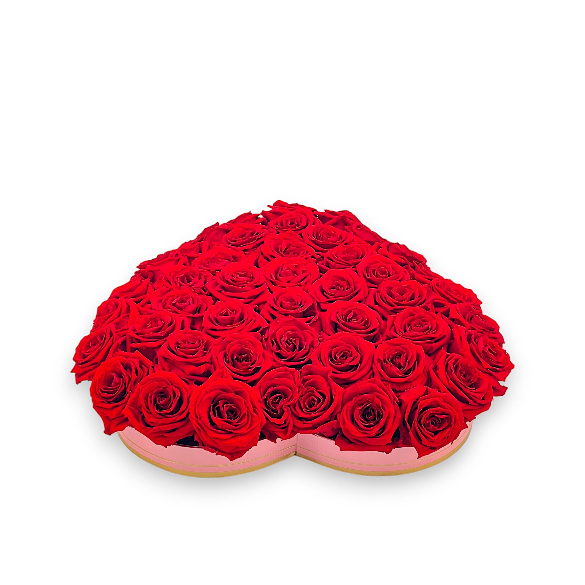 roses éternelles