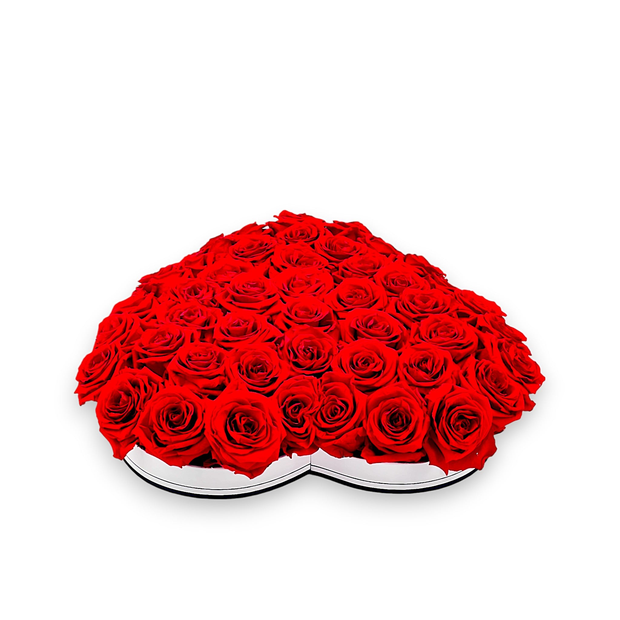 roses éternelles
