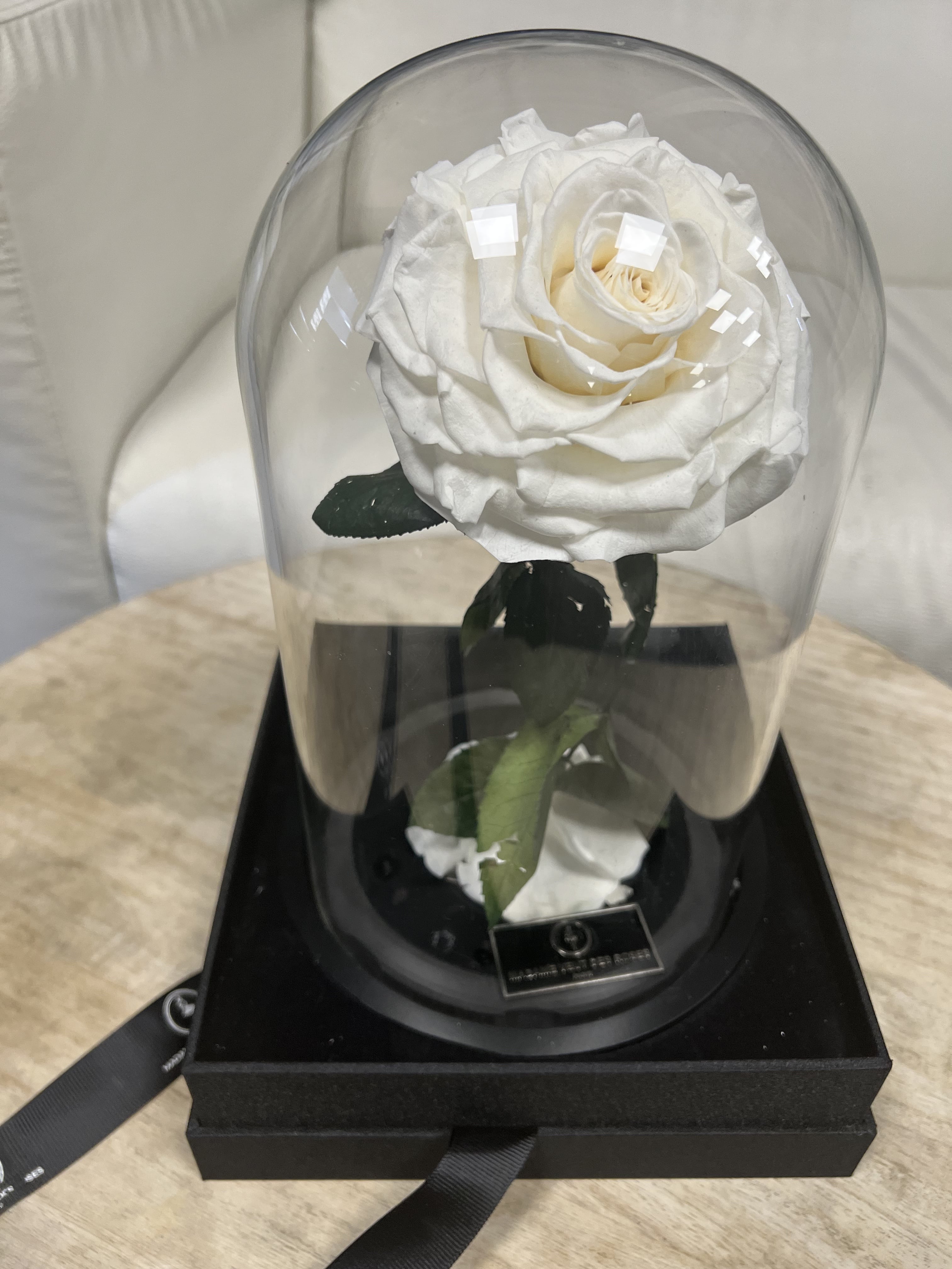 roses éternelles