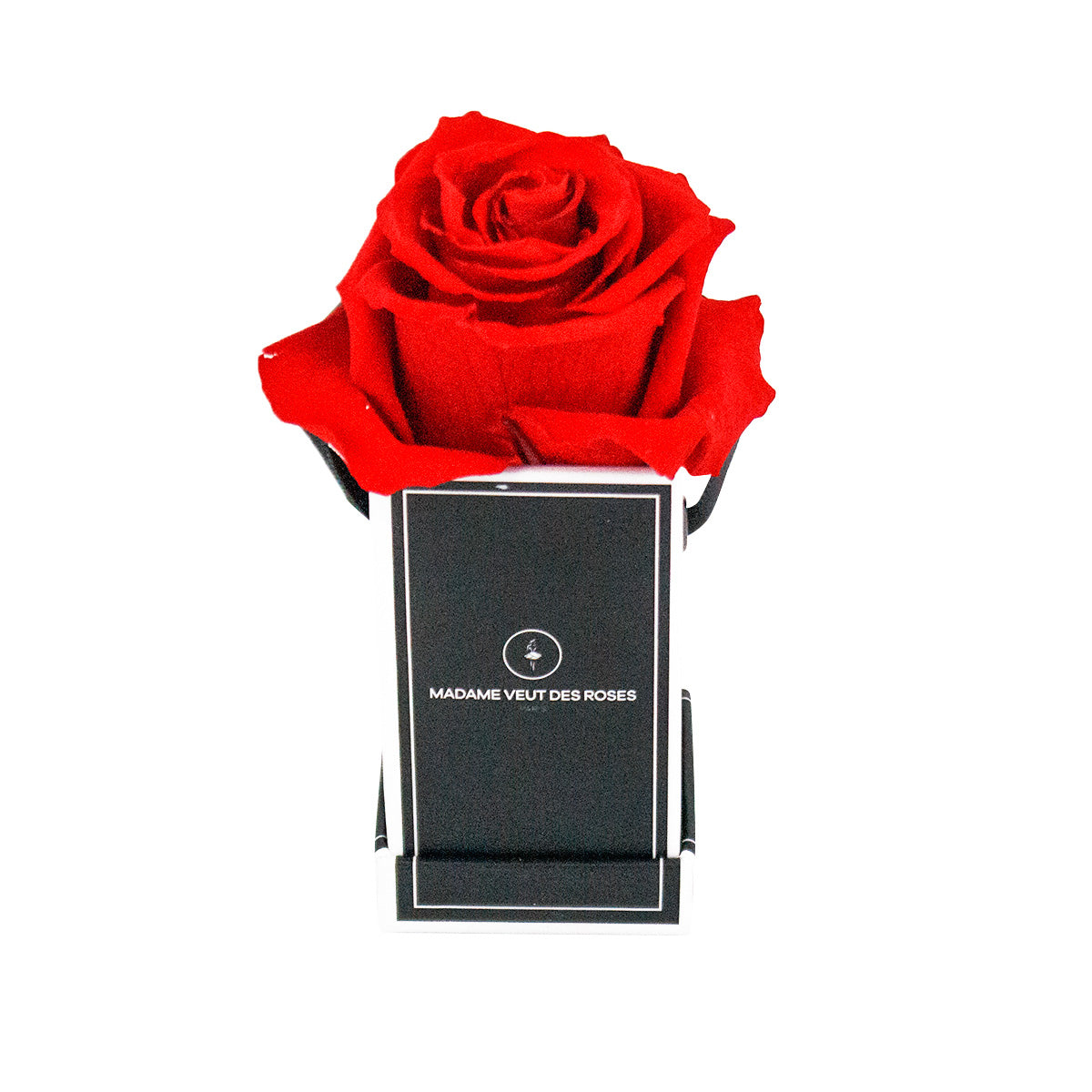 Carré Solo - Roses éternelles - Madame Veut Des Roses