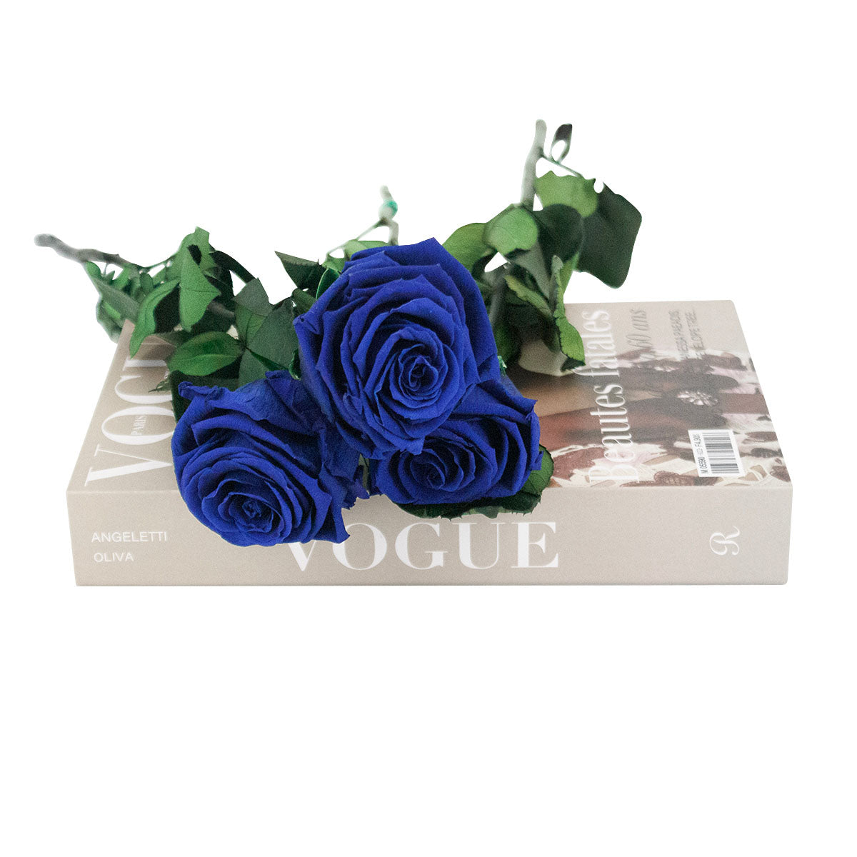 Roses éternelles avec tiges - Madame Veut Des Roses