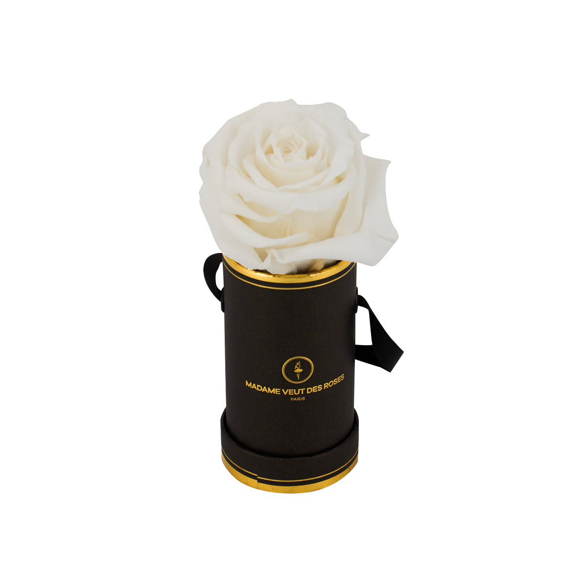 Rond Solo - Roses éternelles - Madame Veut Des Roses