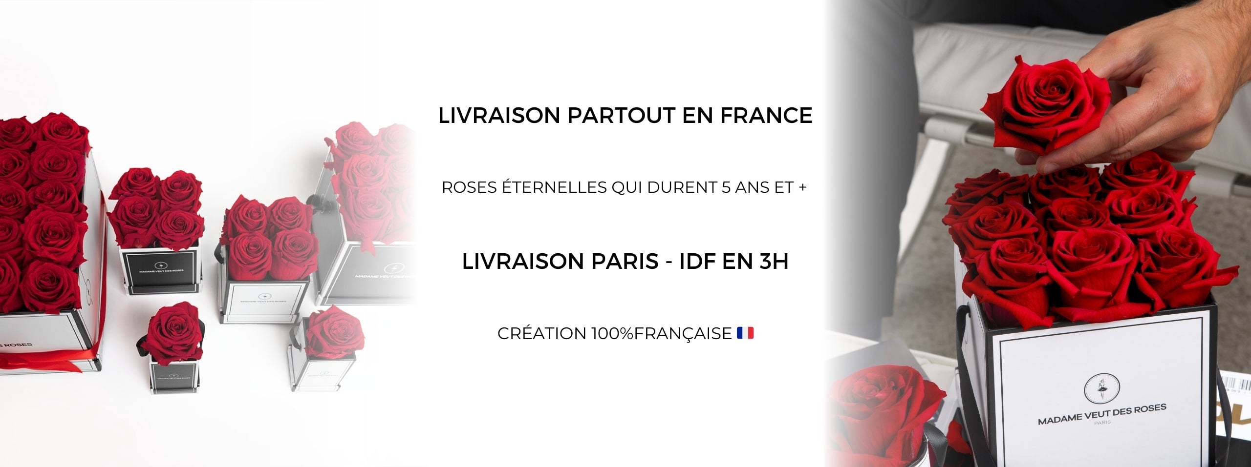roses éternelles