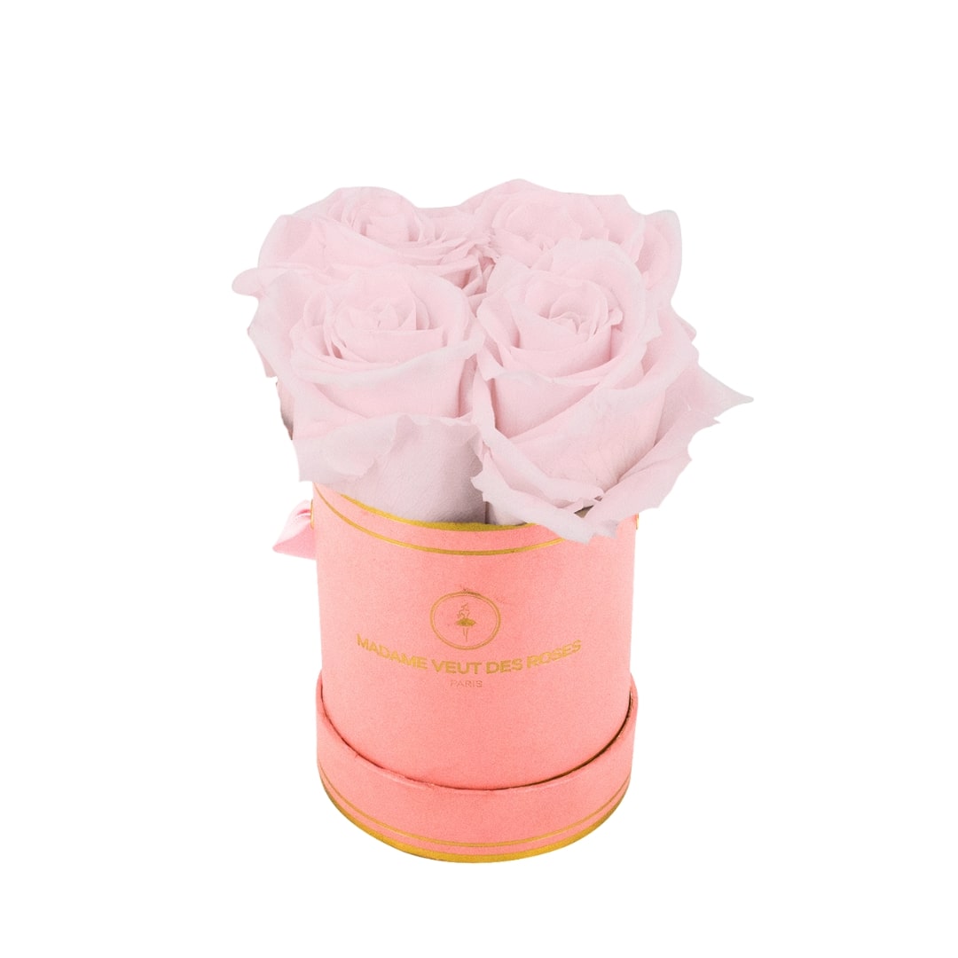 roses éternelles