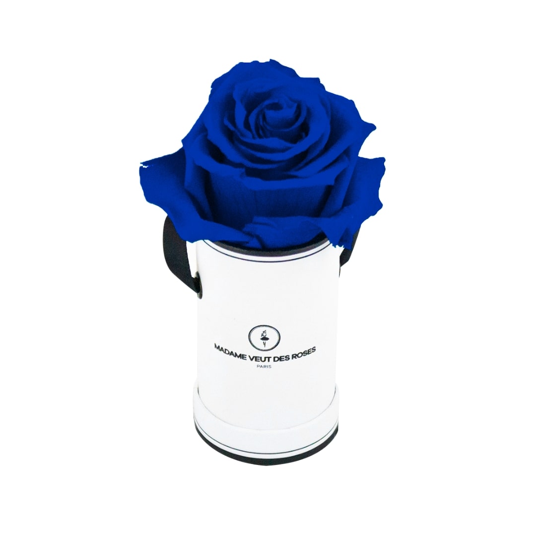 roses éternelles