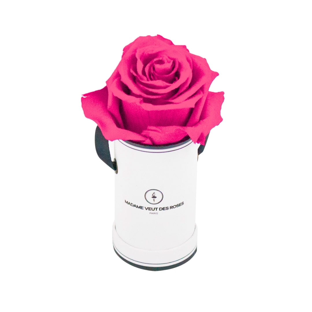 roses éternelles