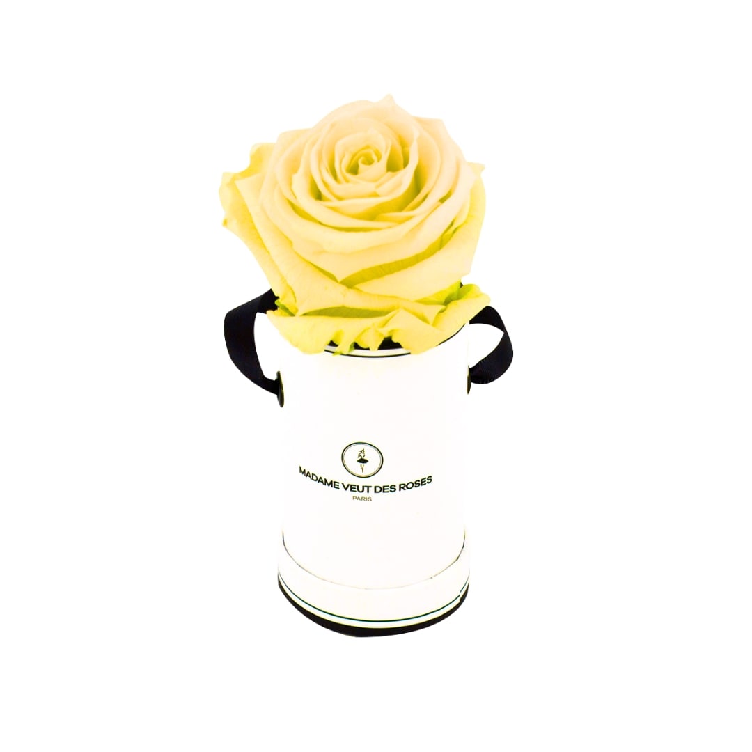 roses éternelles