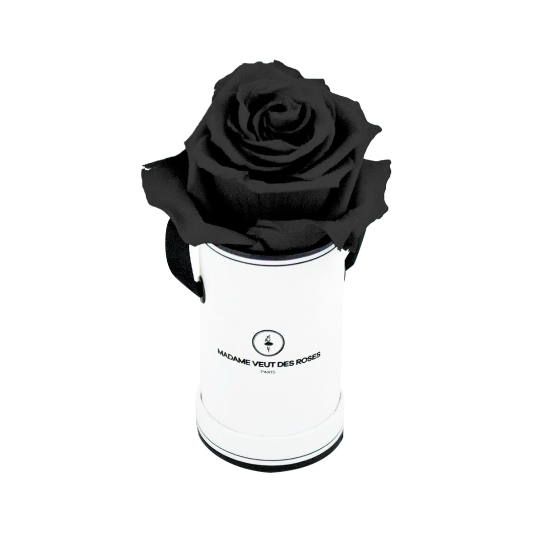 roses éternelles