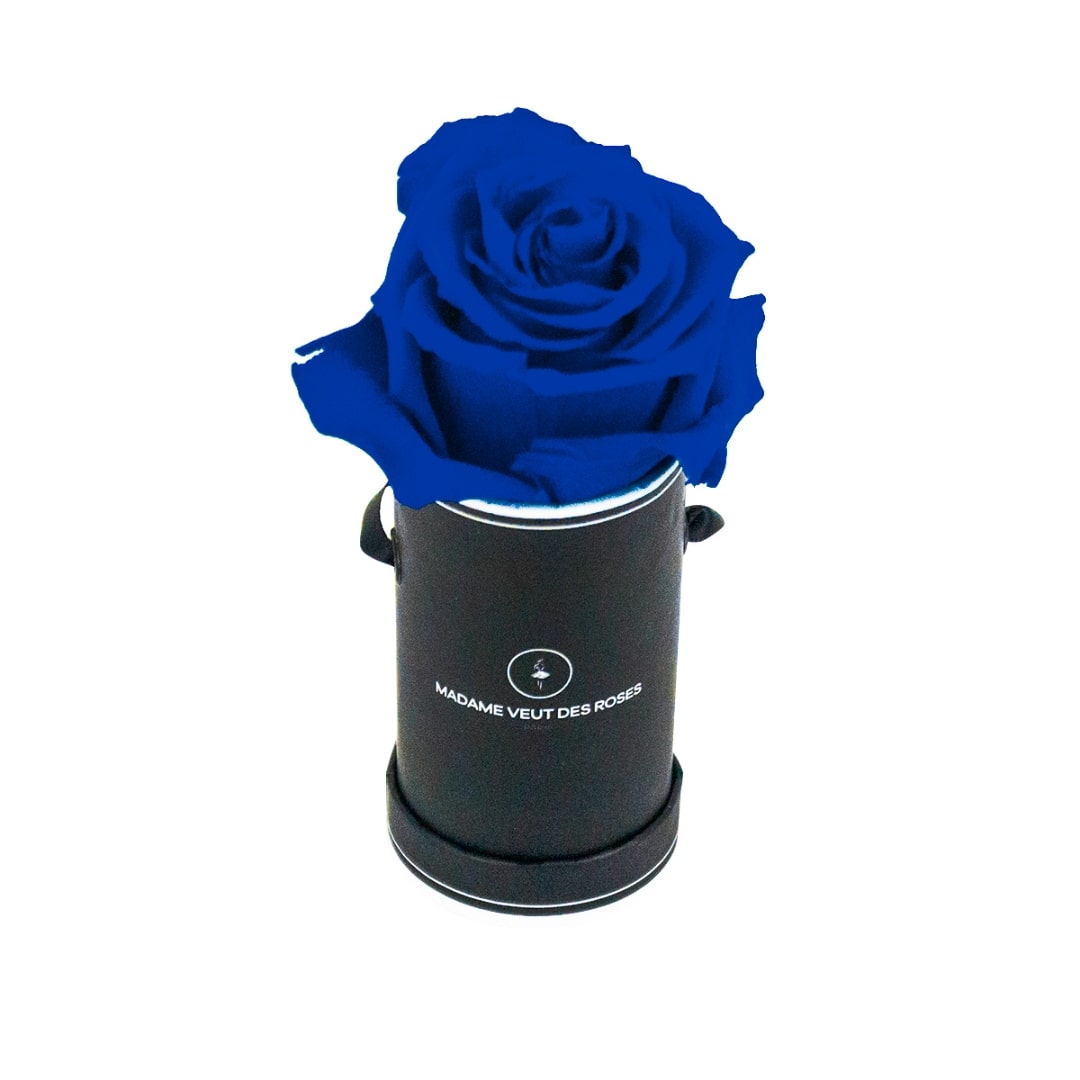 roses éternelles