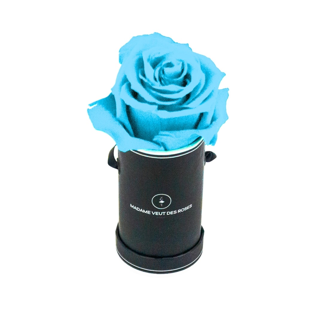 roses éternelles