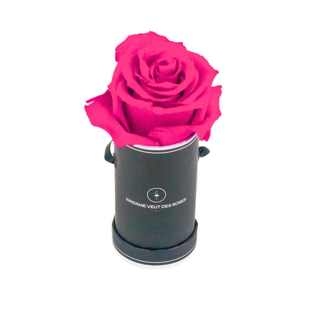 roses éternelles
