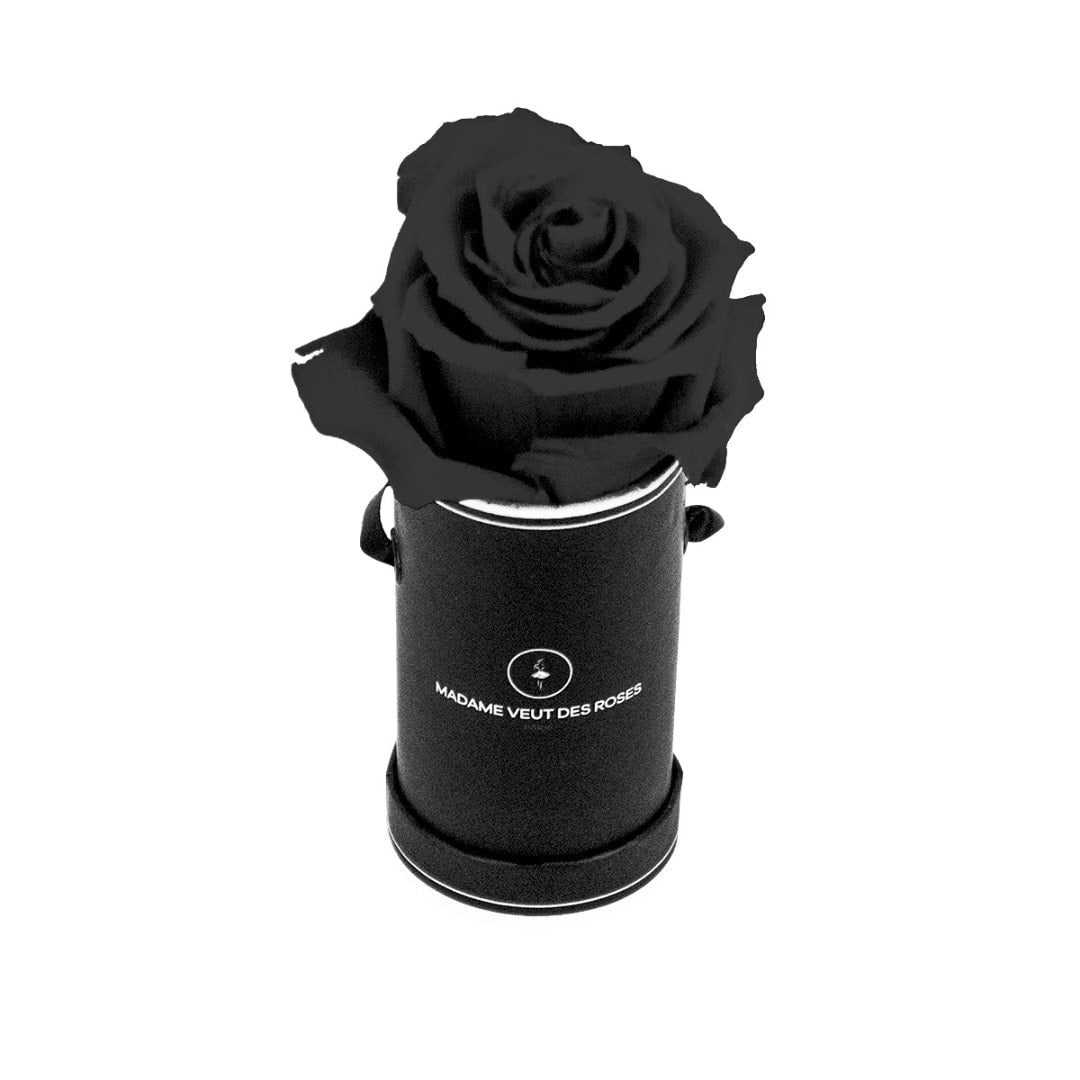 roses éternelles