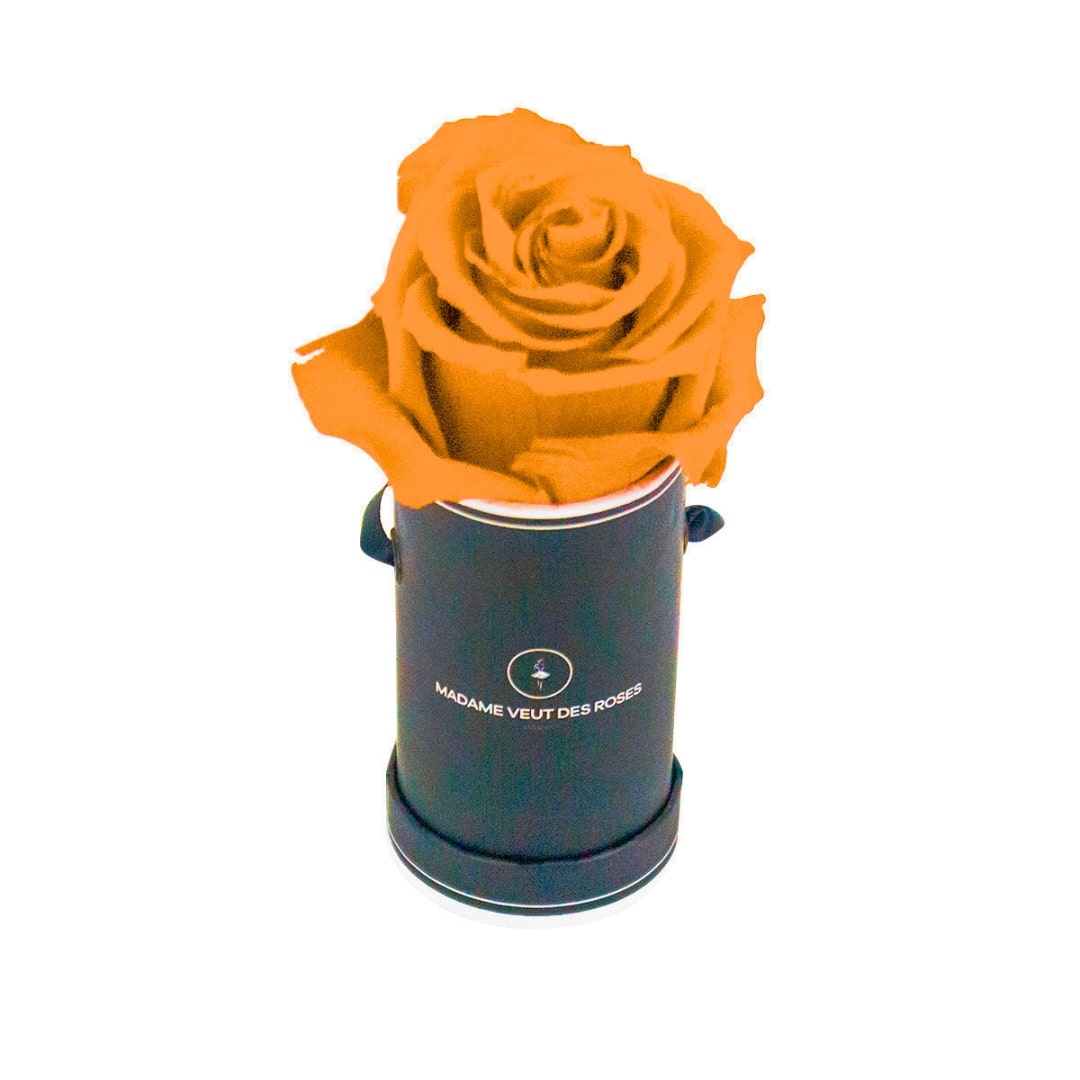 roses éternelles