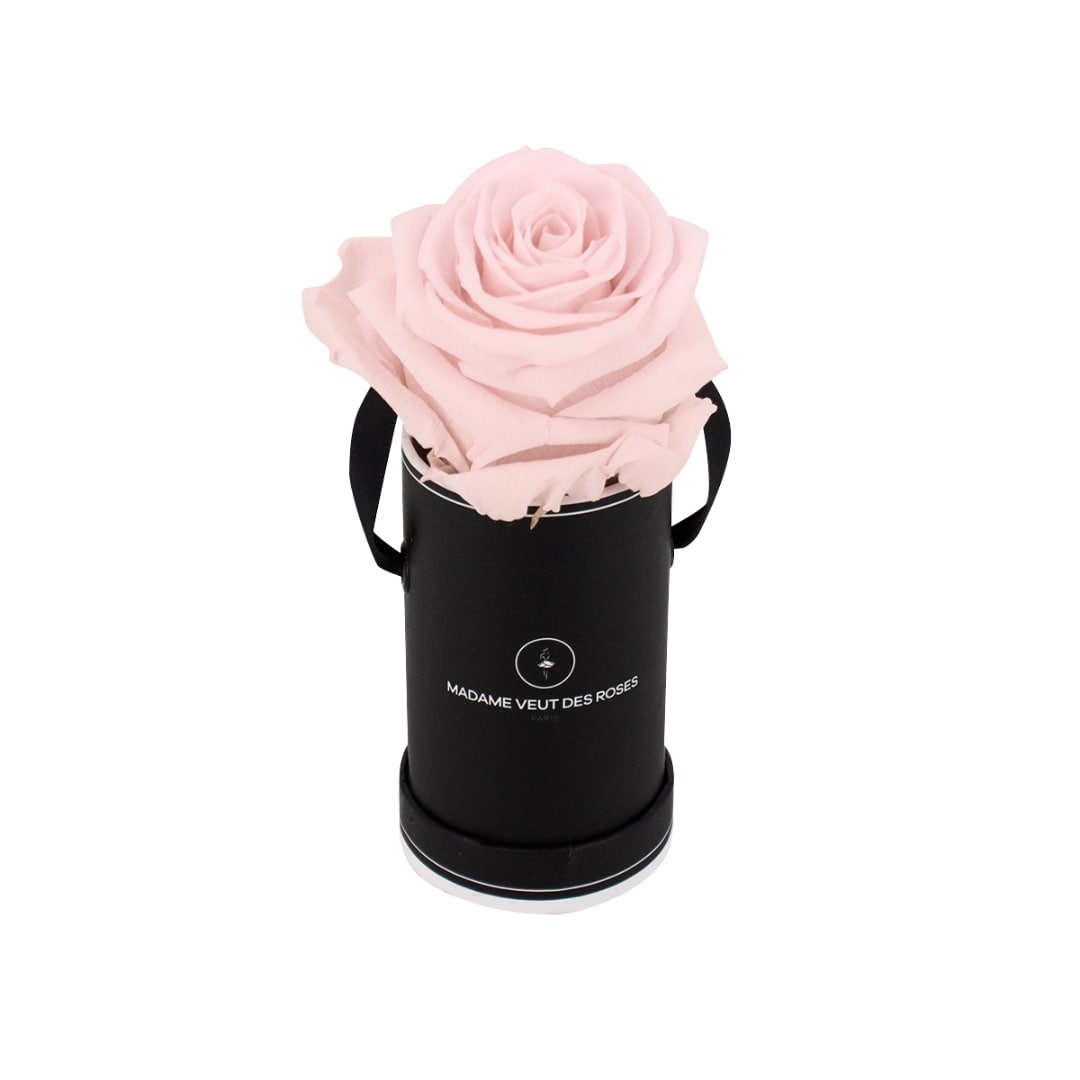 roses éternelles