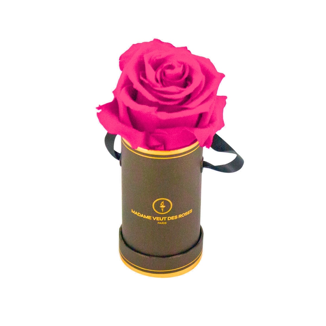 roses éternelles