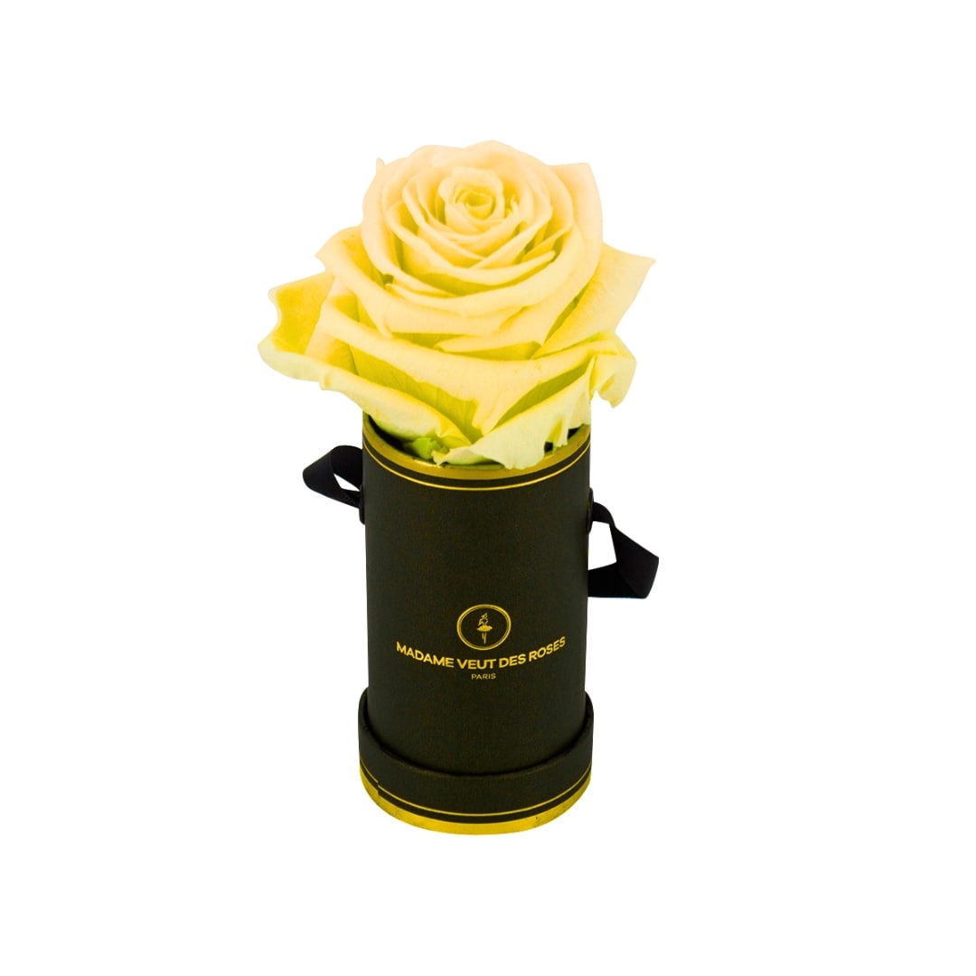 roses éternelles