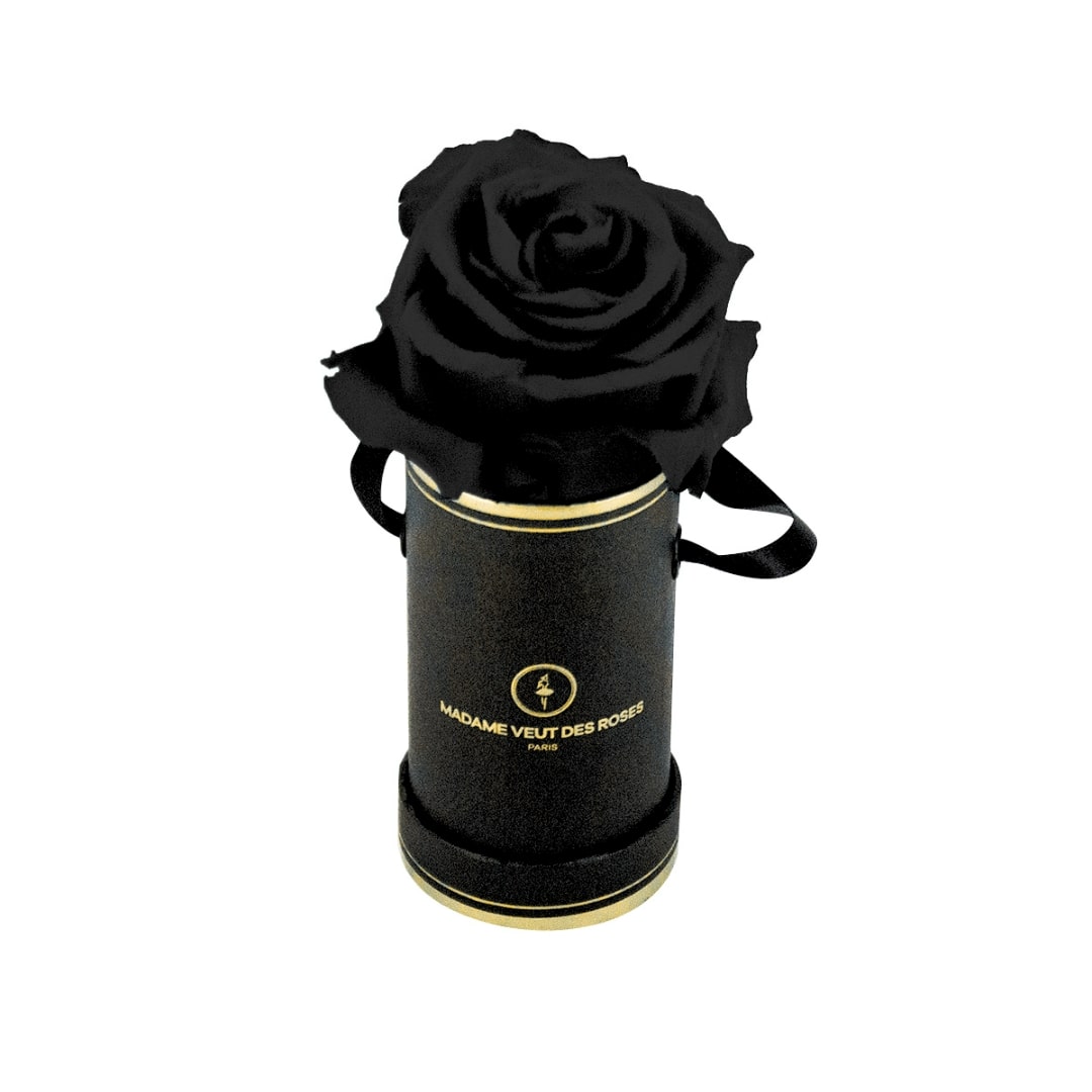 roses éternelles