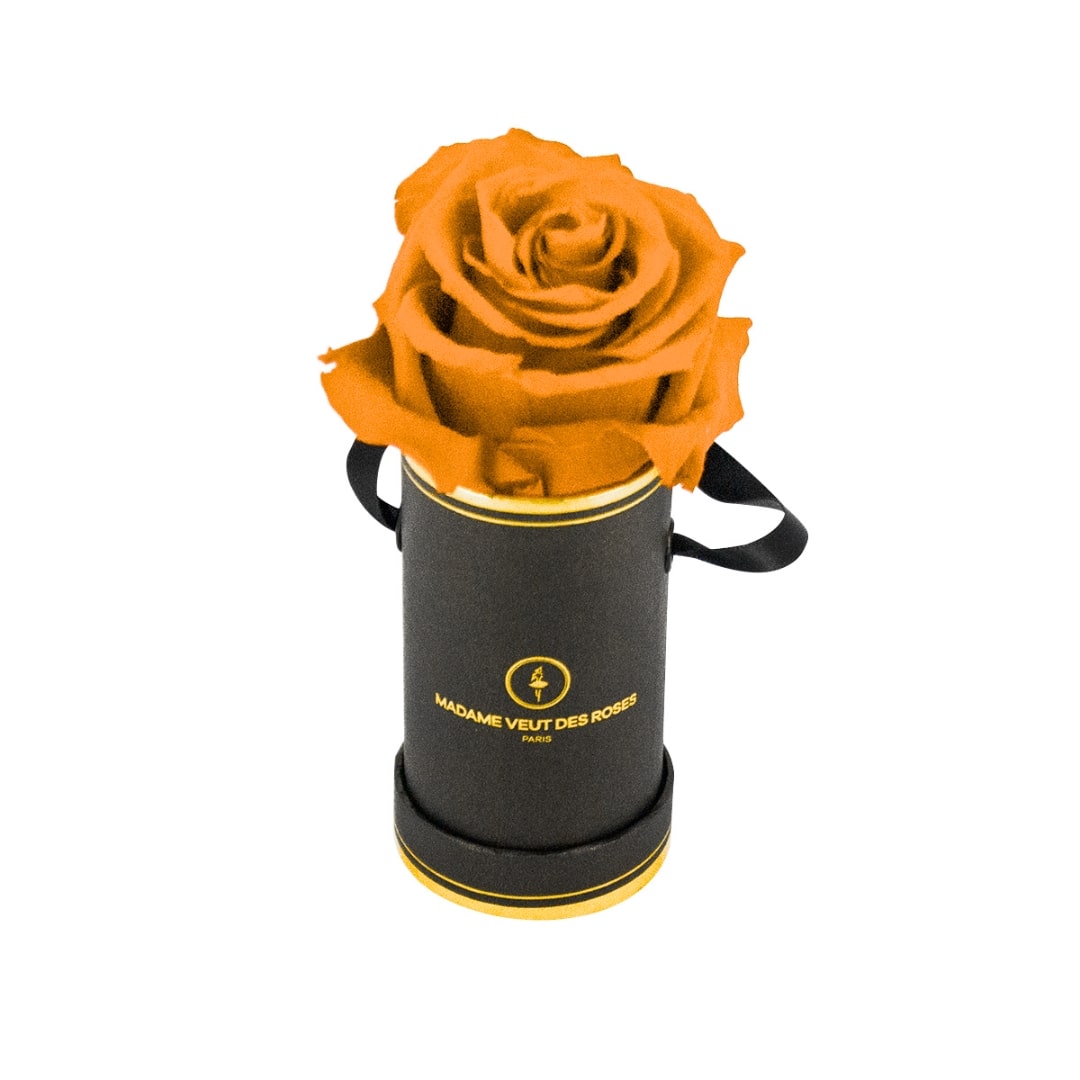roses éternelles