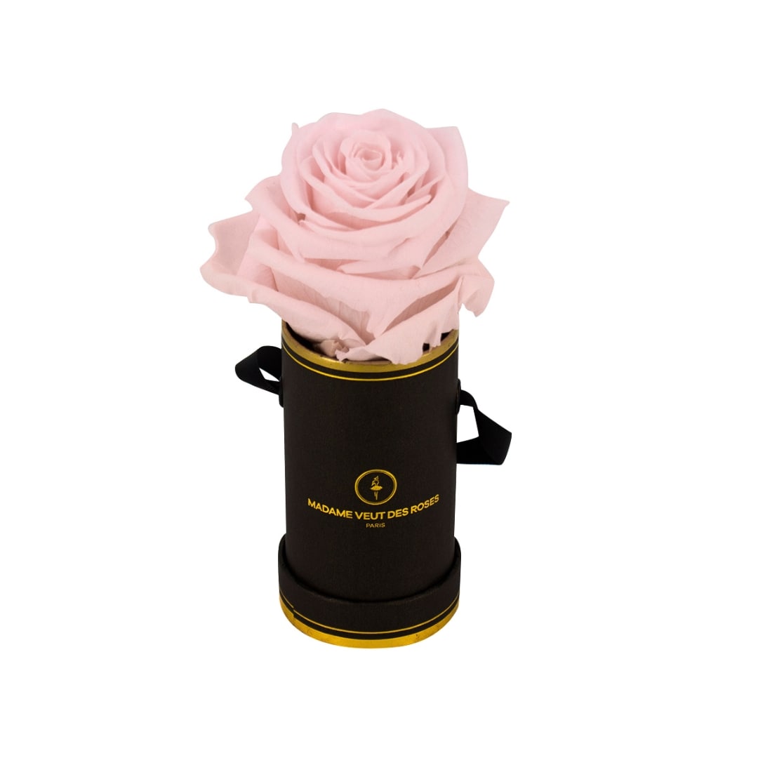 roses éternelles