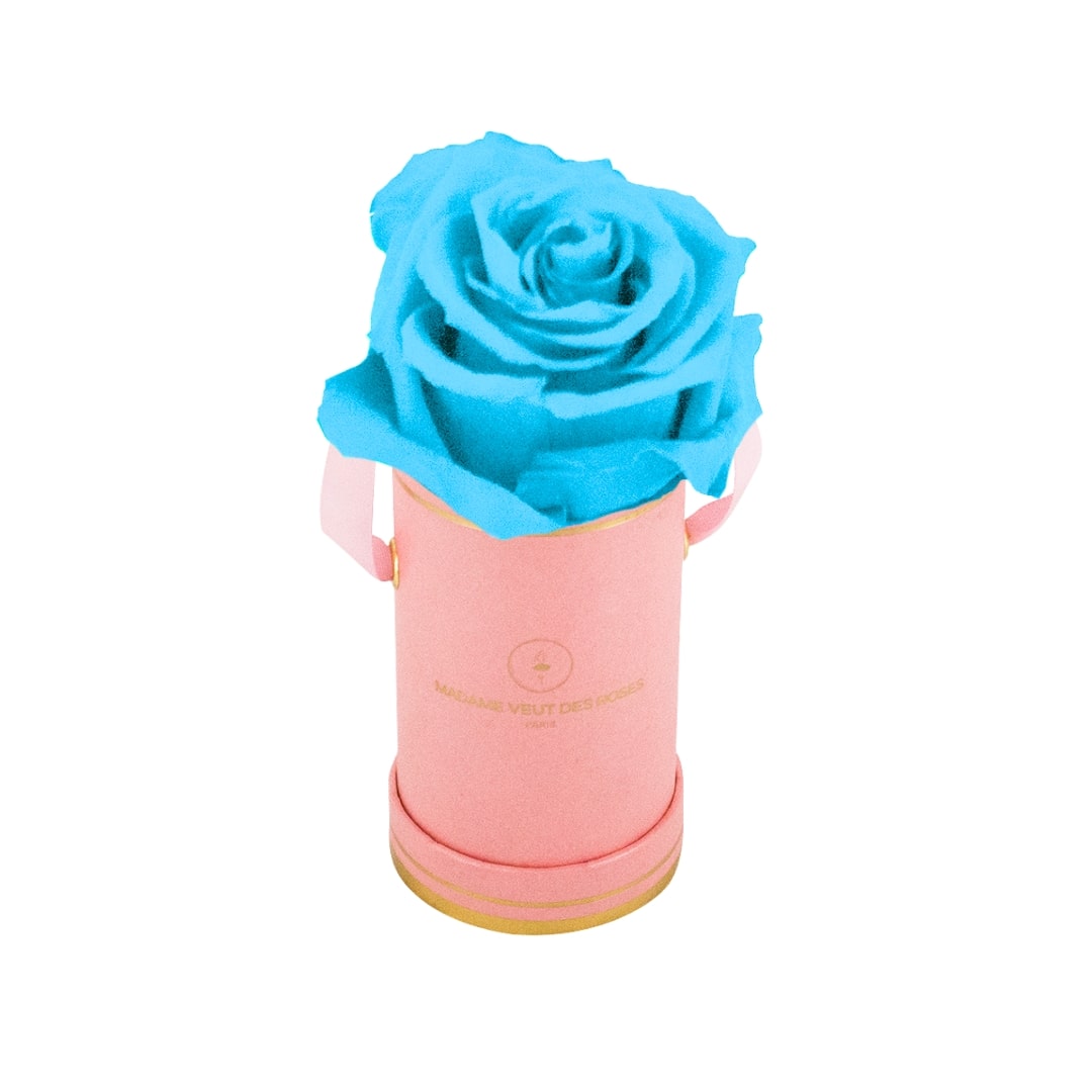 roses éternelles