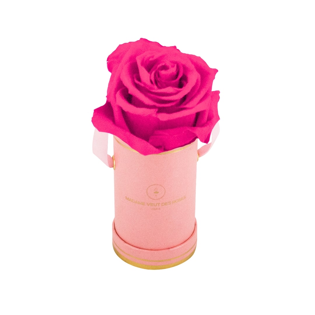 roses éternelles