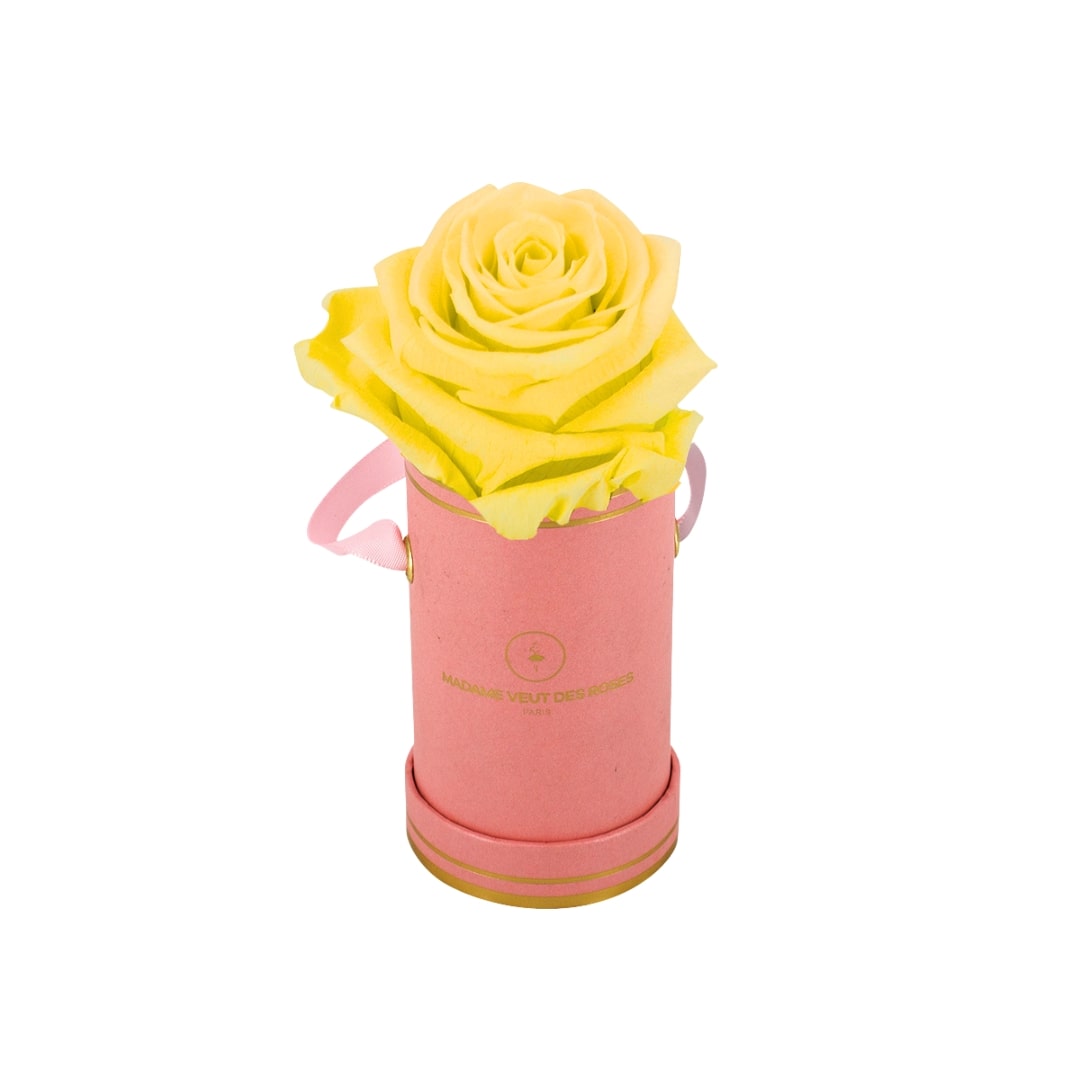 roses éternelles