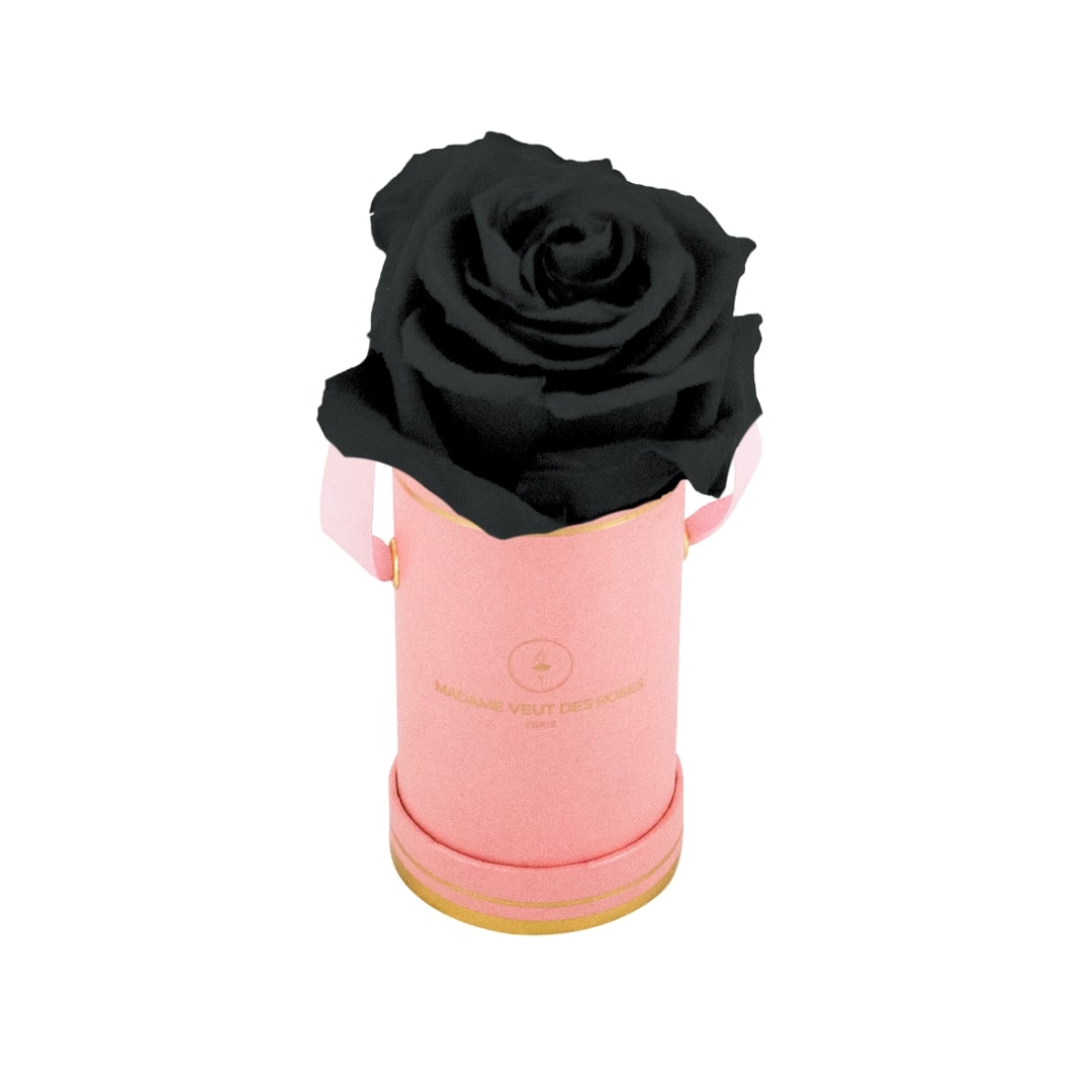 roses éternelles