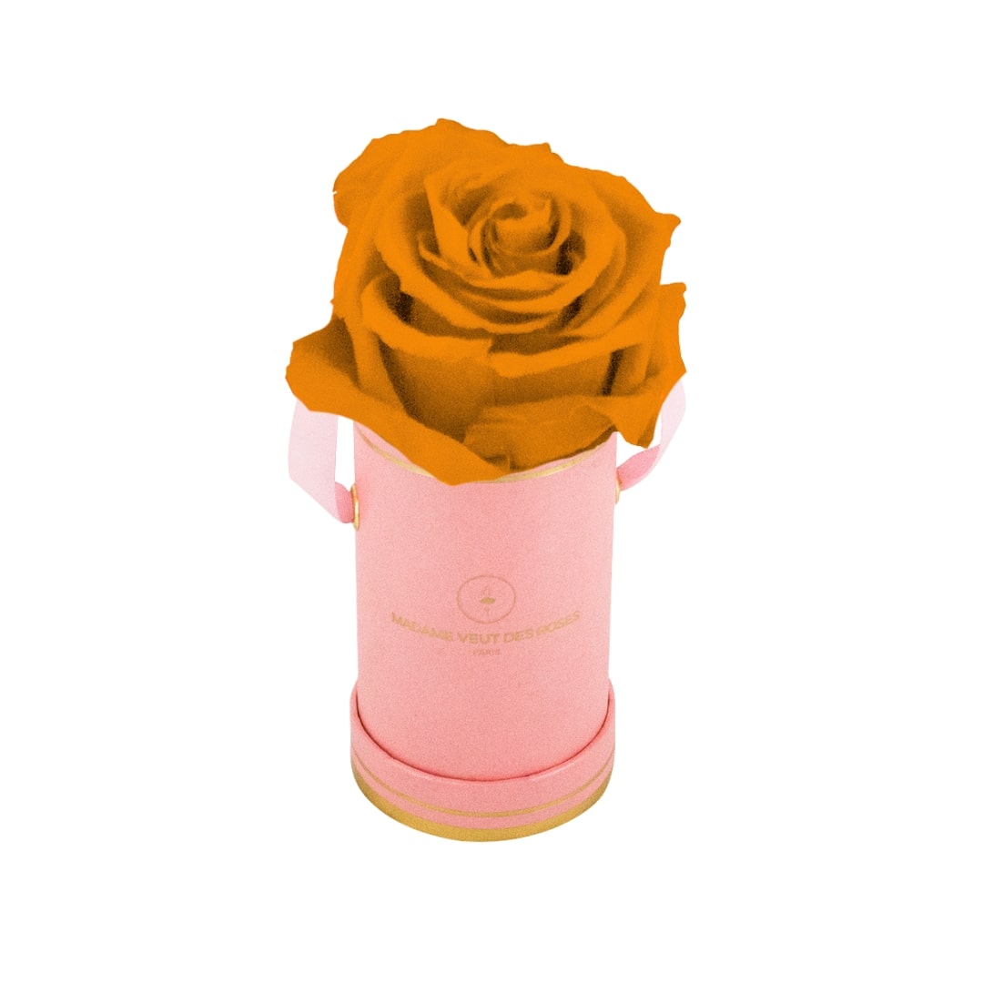 roses éternelles