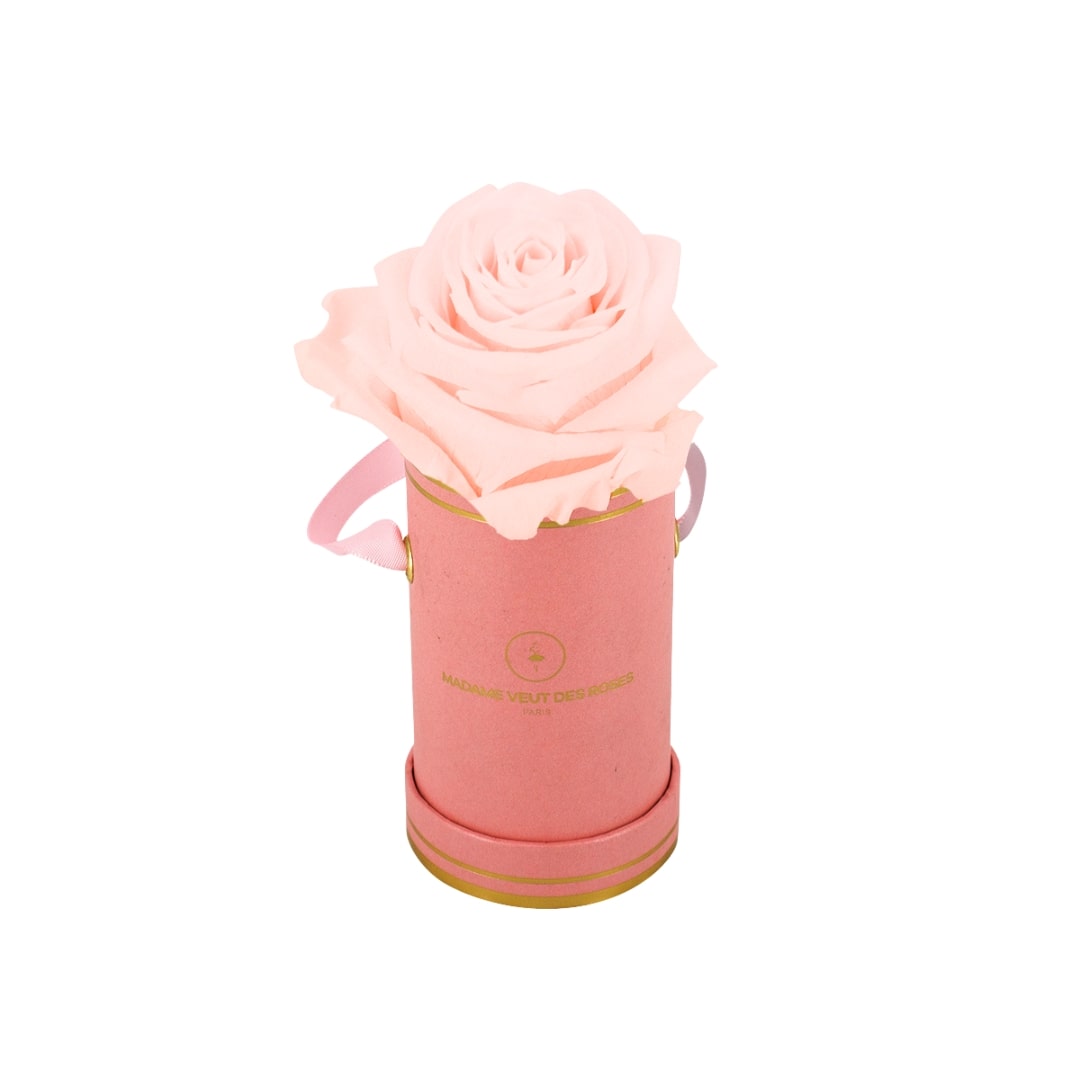 roses éternelles