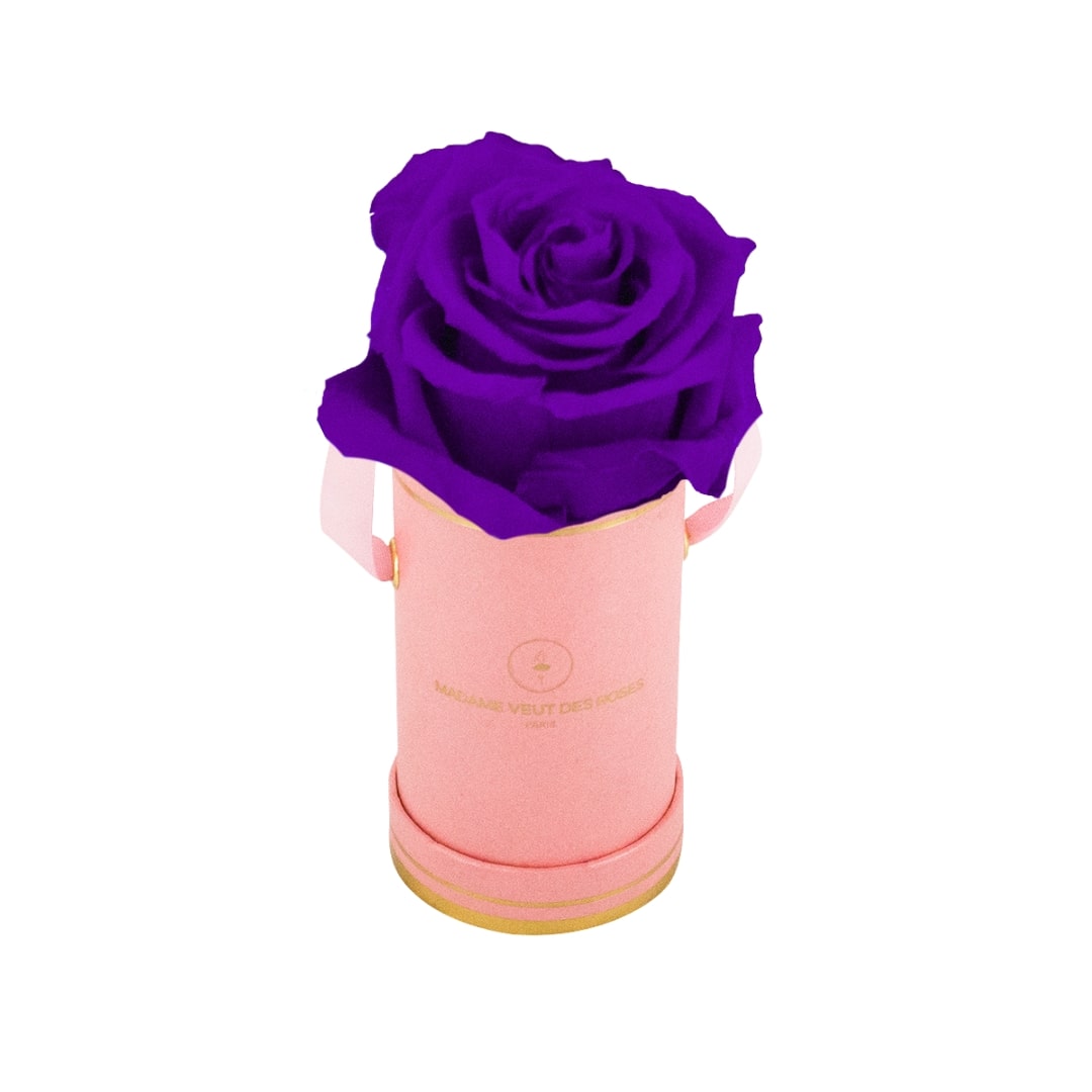 roses éternelles