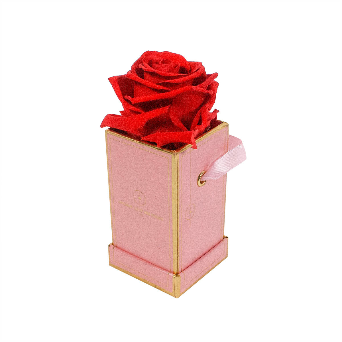 Carré Solo - Roses éternelles - Madame Veut Des Roses