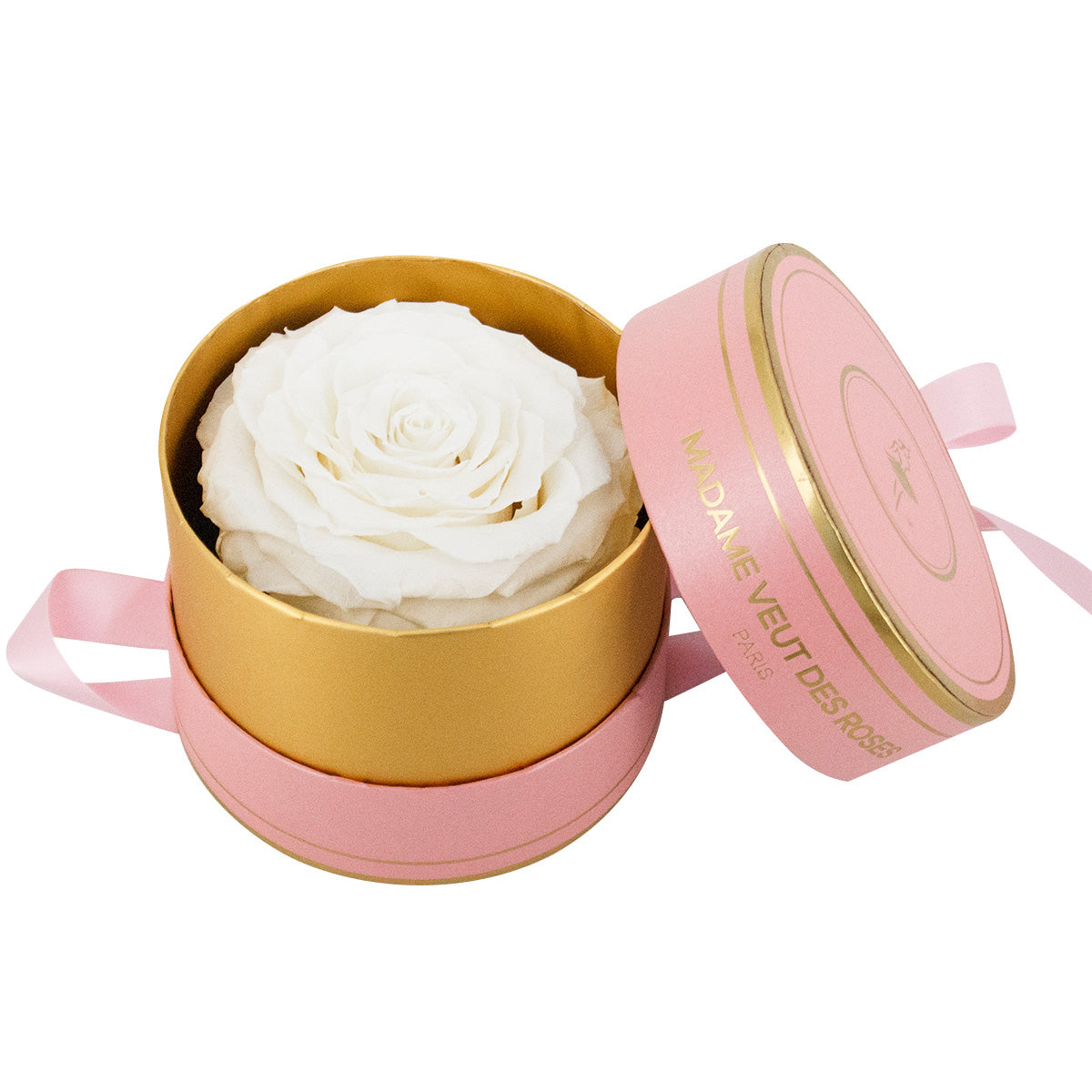 JUMBO "L'unique" - Rose éternelle - Madame Veut Des Roses