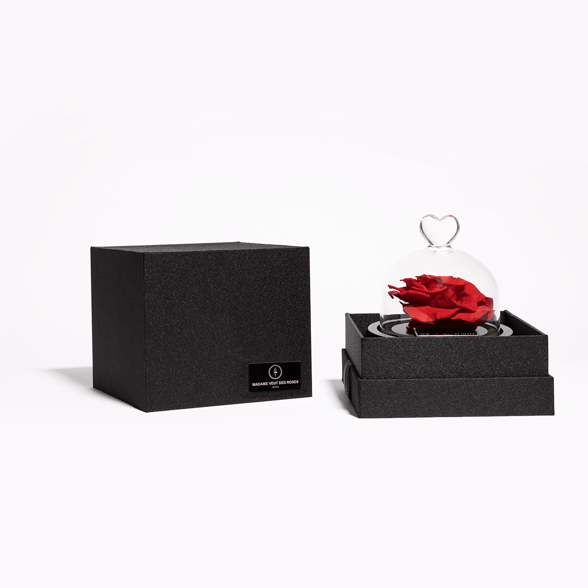 Rose éternelle sous cloche - Madame Veut Des Roses