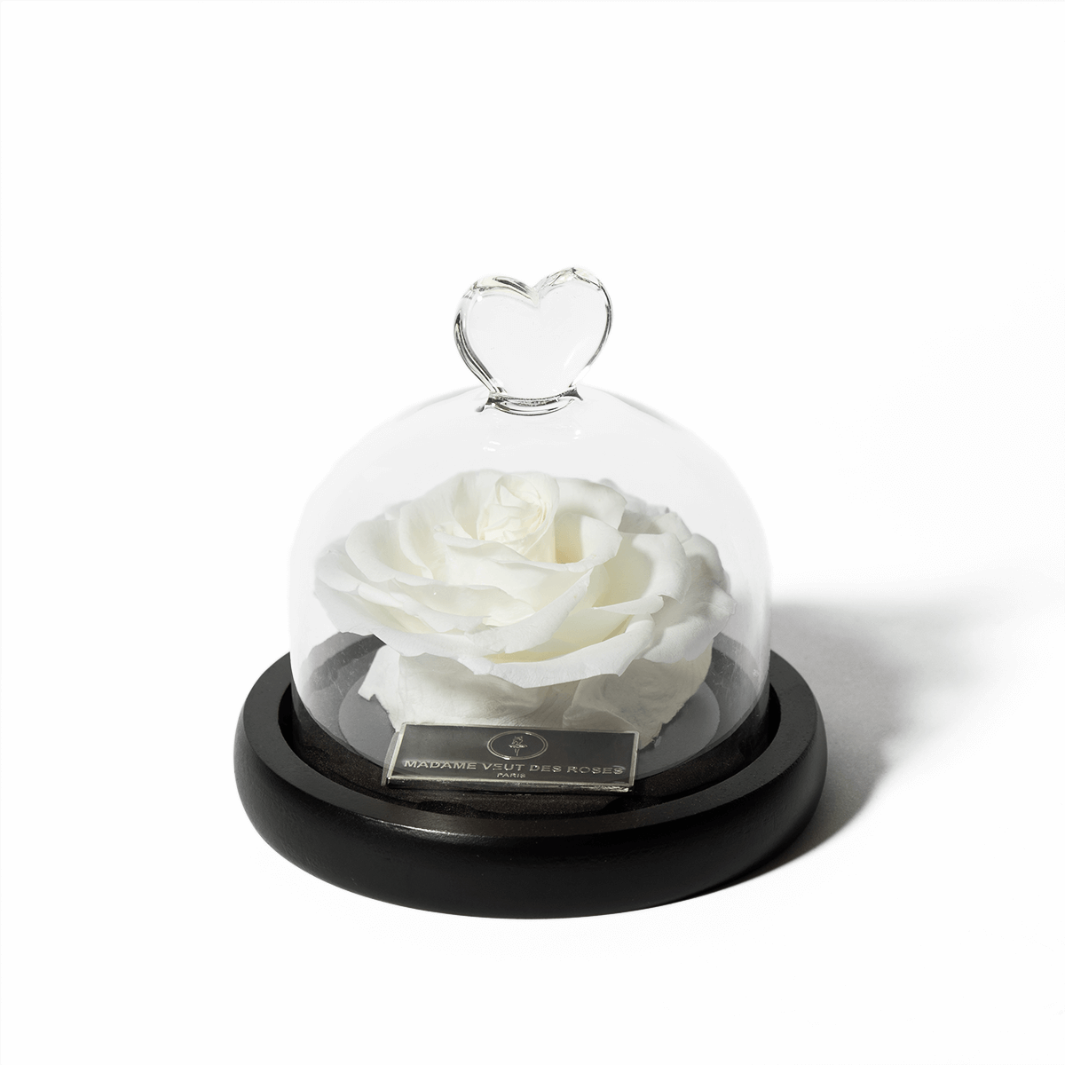 Rose éternelle sous cloche - Madame Veut Des Roses