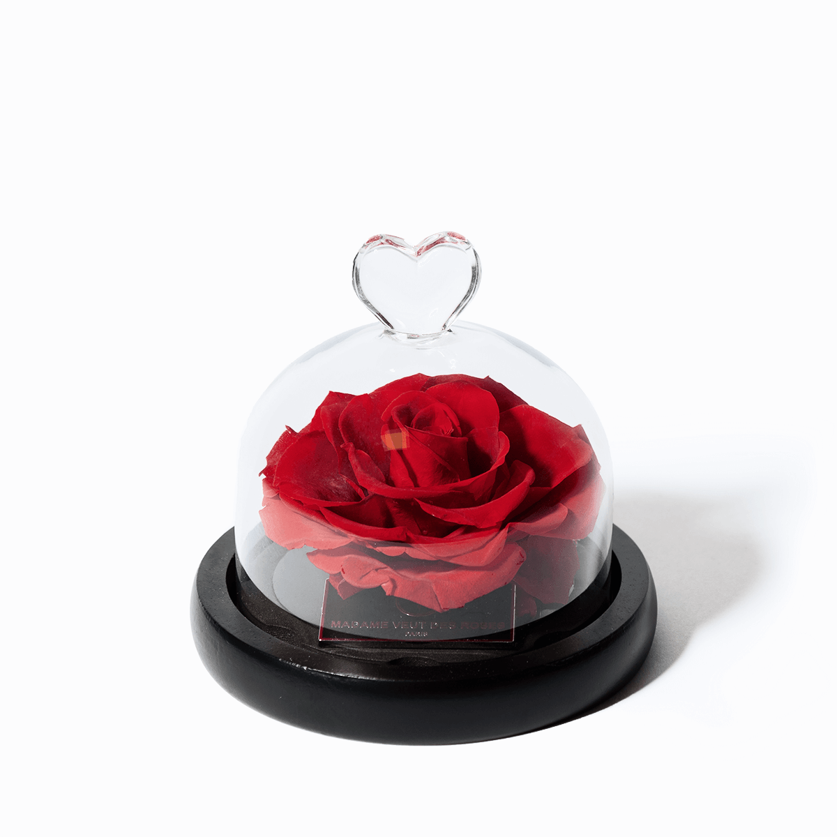 Rose éternelle sous cloche - Attachante - Madame Veut Des Roses