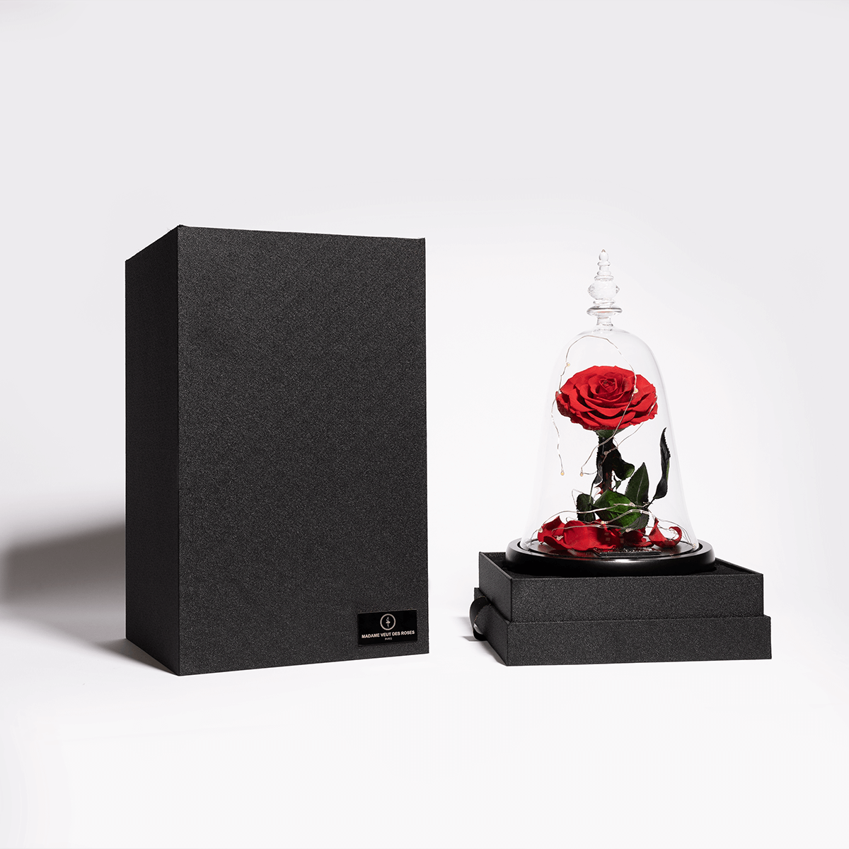 Rose éternelle sous cloche - Madame Veut Des Roses