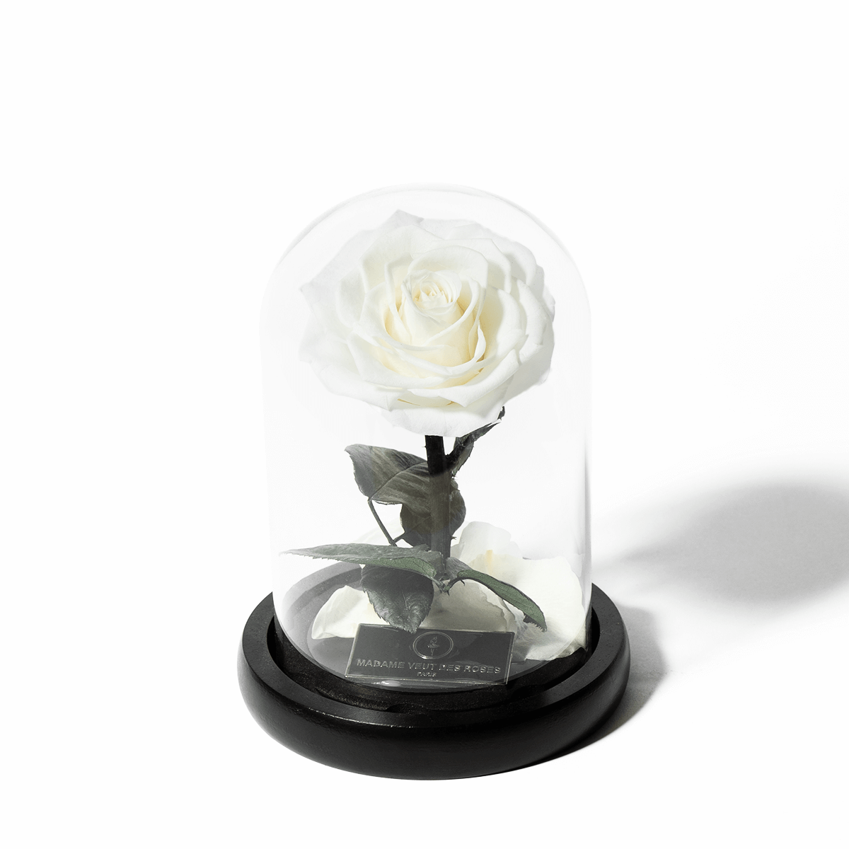 Rose éternelle sous cloche - Madame Veut Des Roses