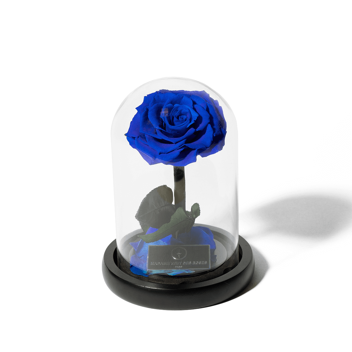 Rose éternelle sous cloche - Madame Veut Des Roses
